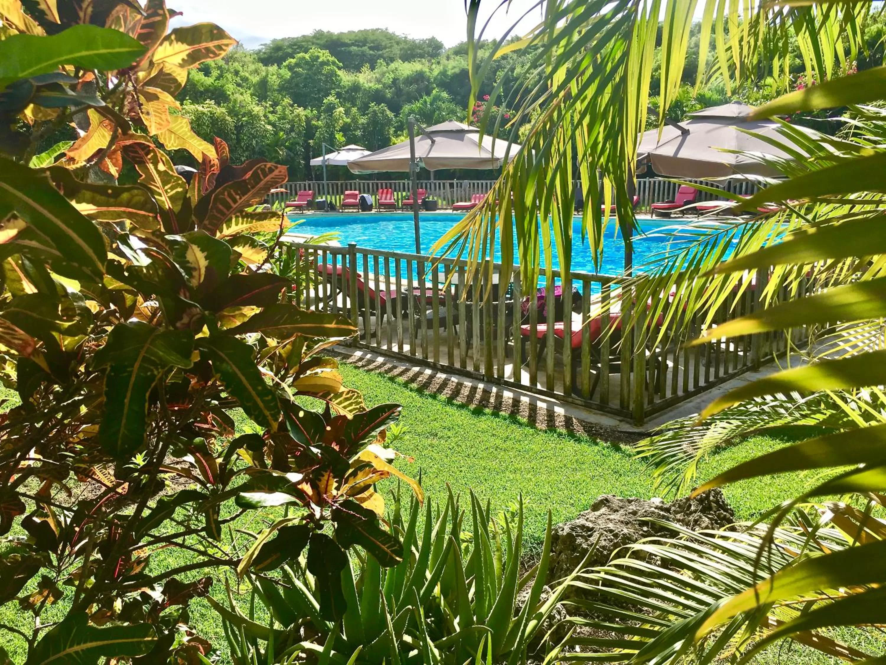 Garden in Résidence Le Vallon Guadeloupe Parc Piscine Appartements & Studios