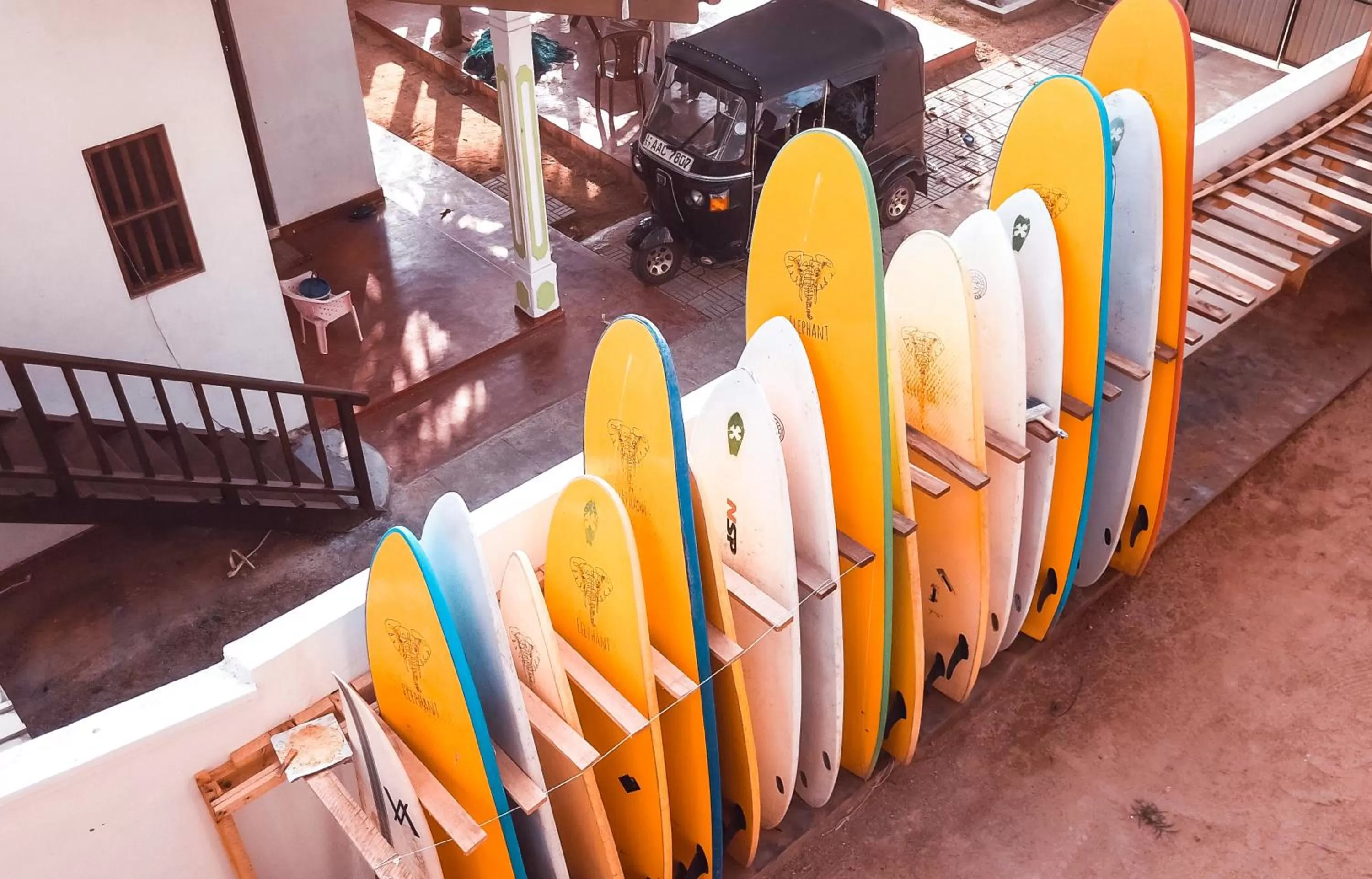 Garden in Lucky's Surf Camp