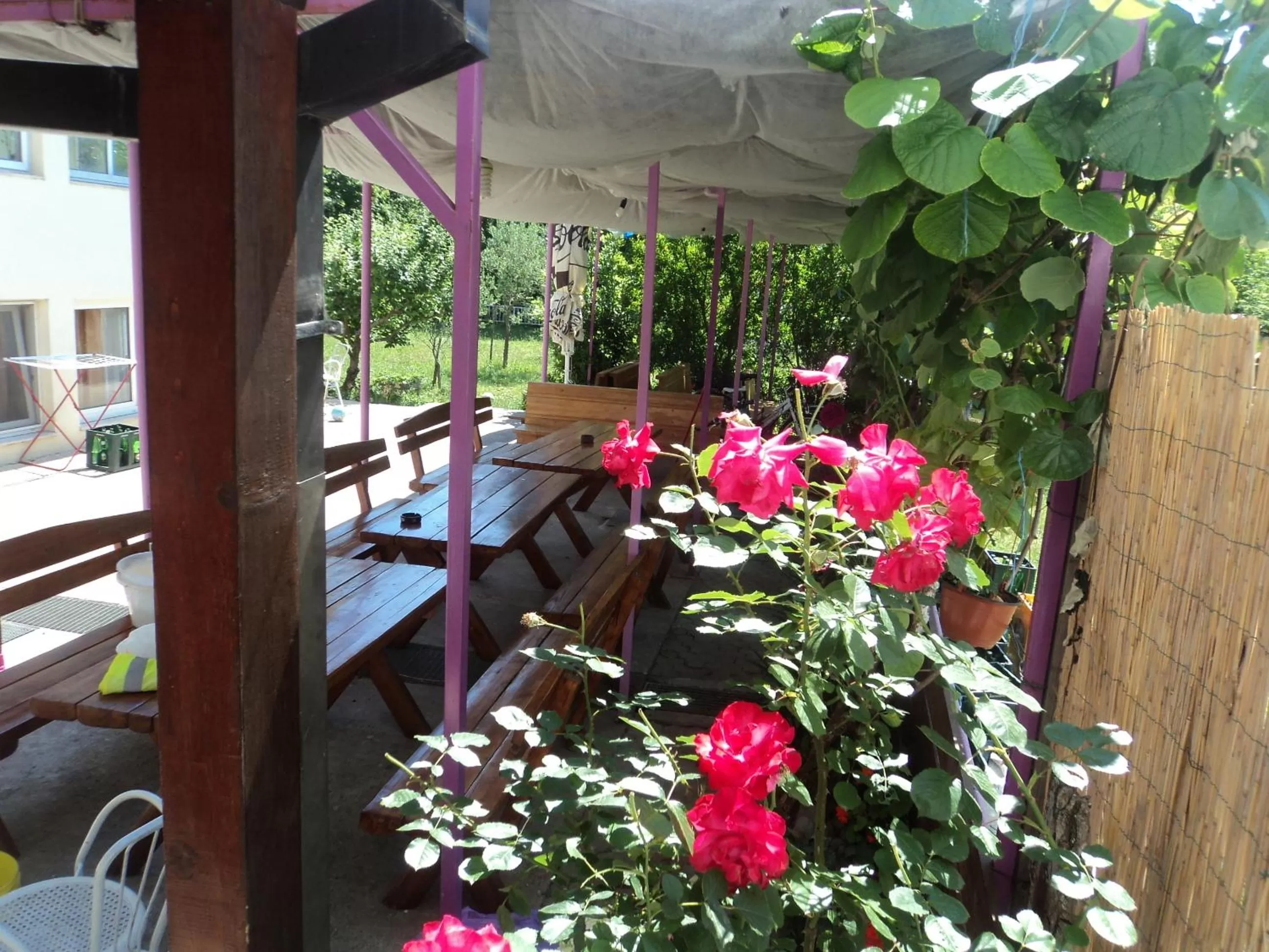 Garden in Pansion Modana Medjugorje