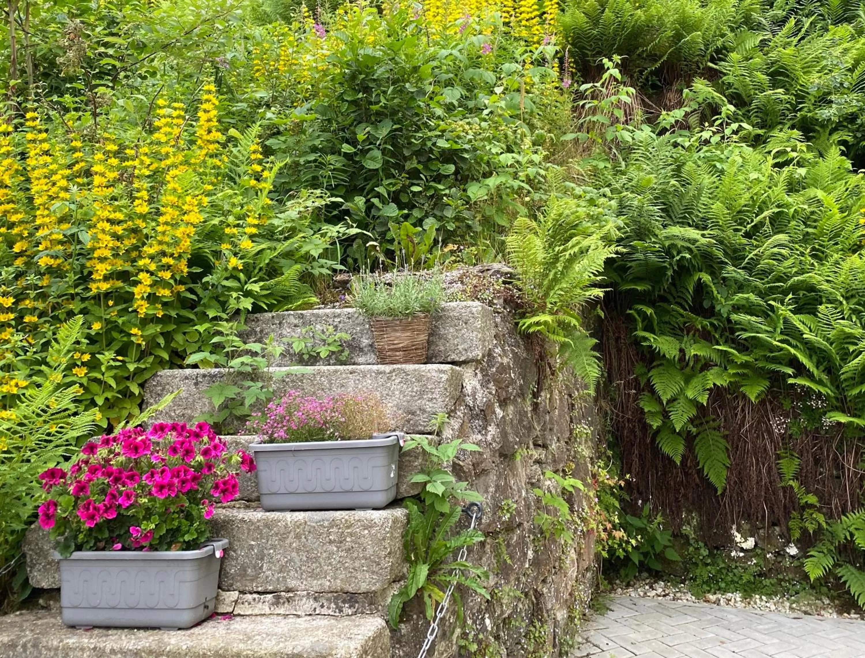 Garden in Vila Jáchymov