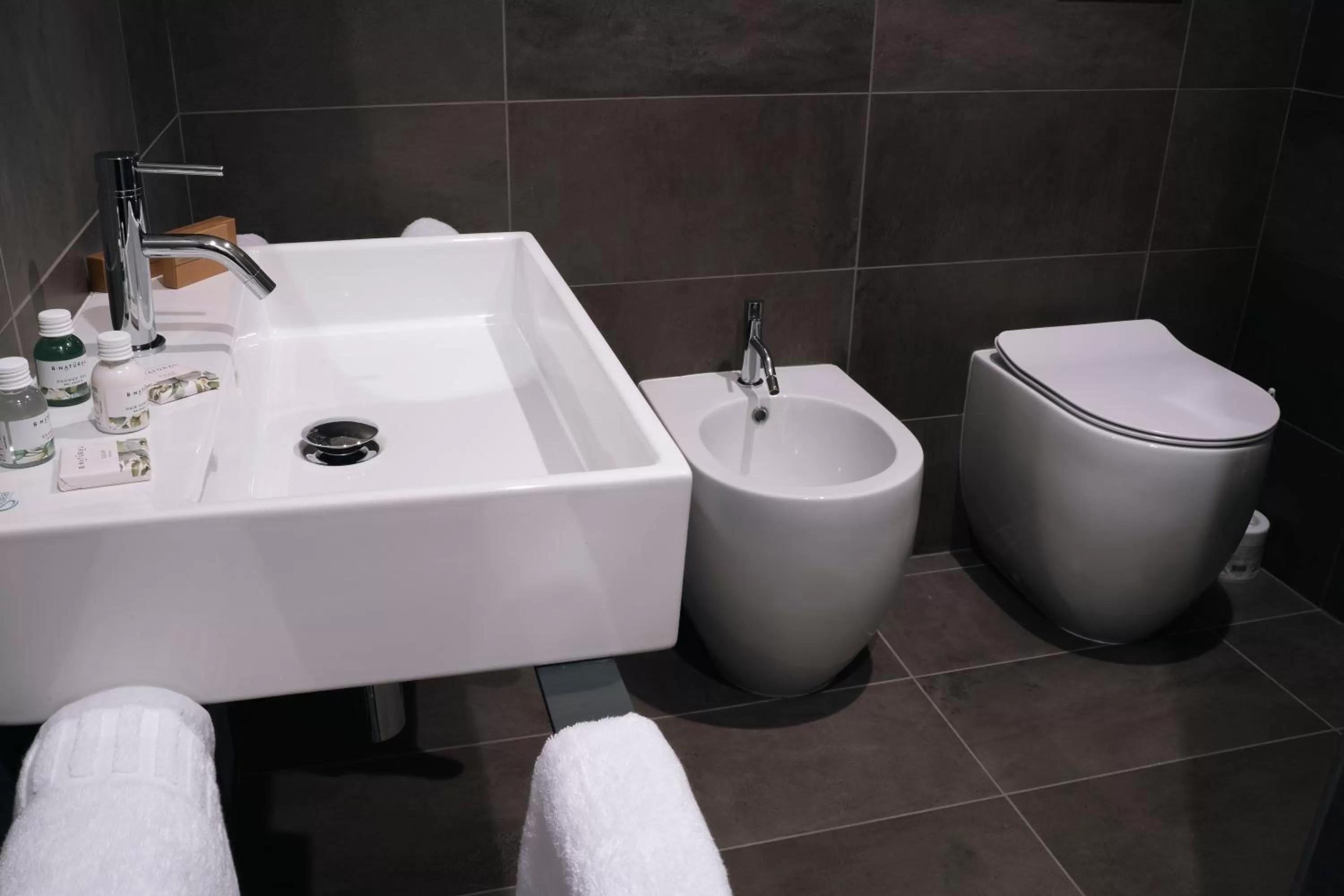 Toilet in VILLA MANZONI