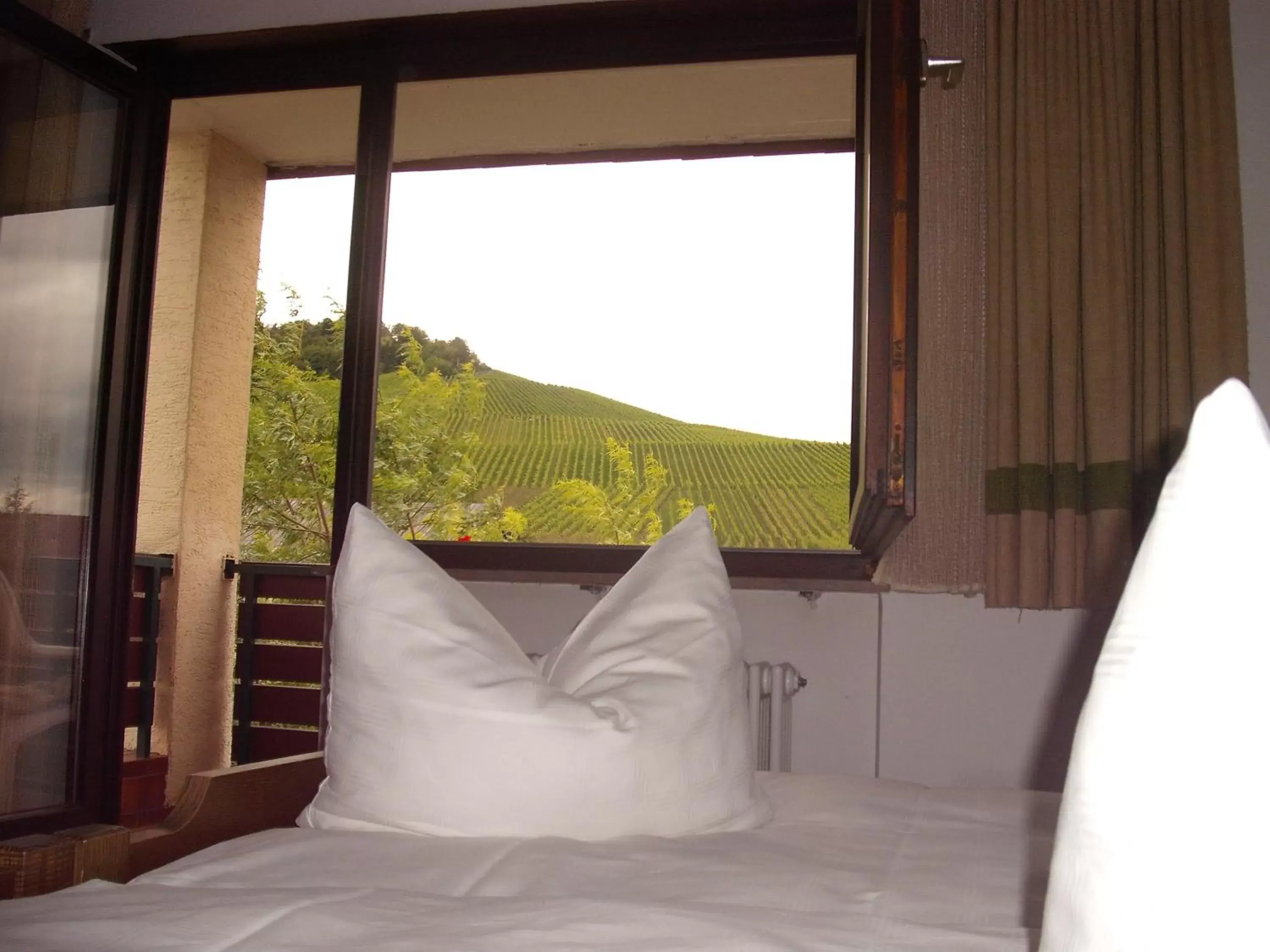 Double Room in Alte Kelter Double Room in Alte Kelter