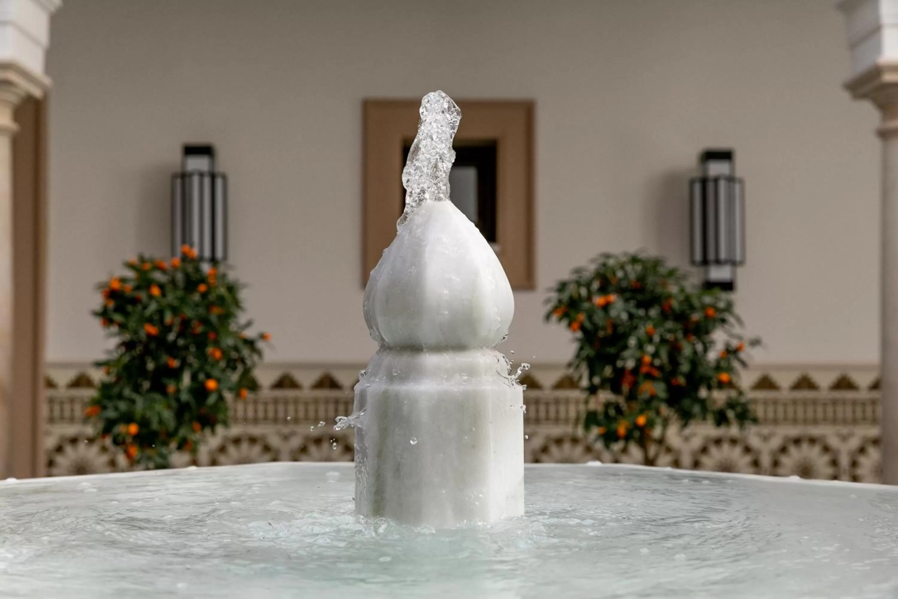 Patio in Hotel Casa Palacio Don Ramón