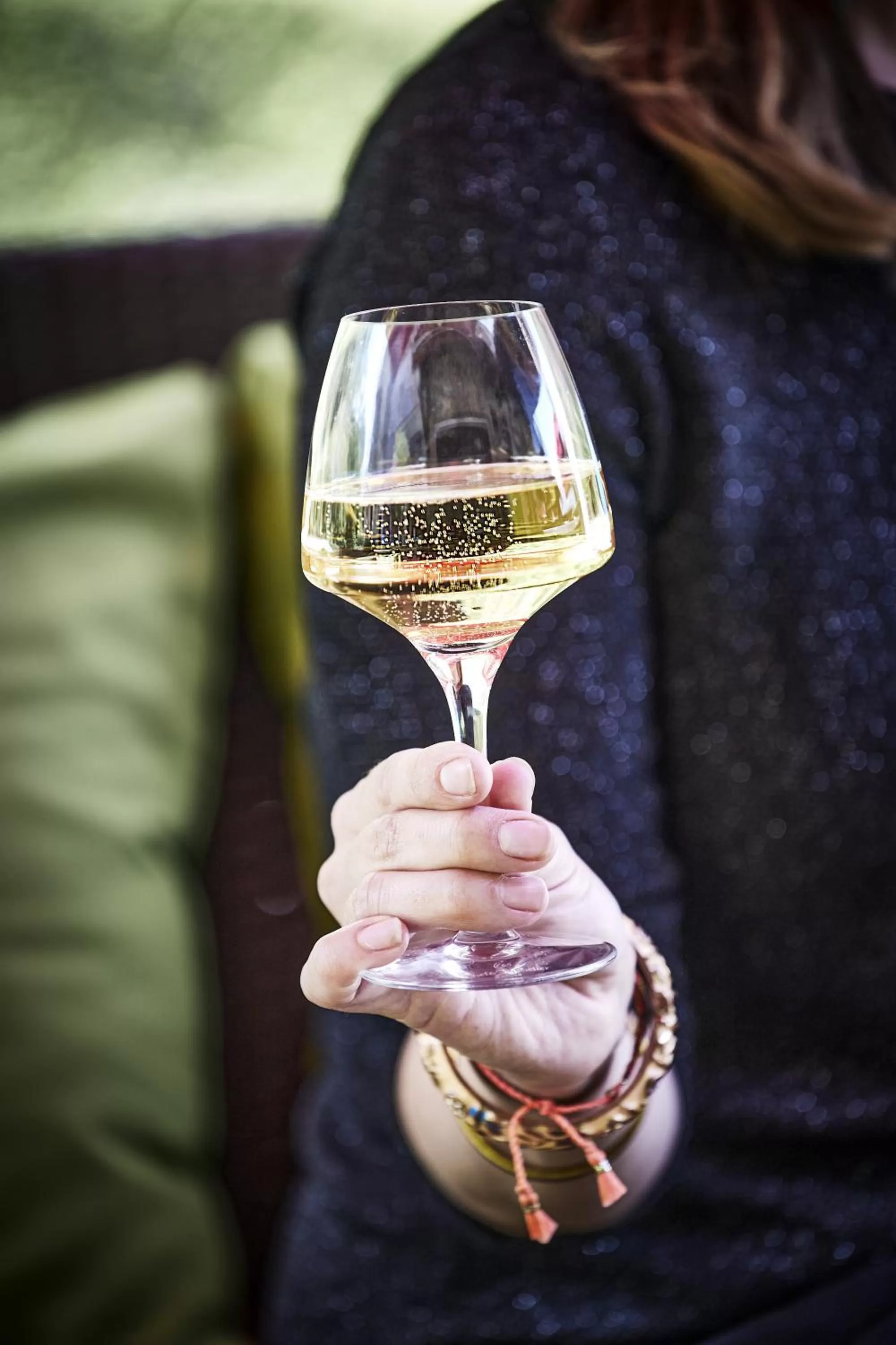 Logis Bagatelle - 51530 Dizy