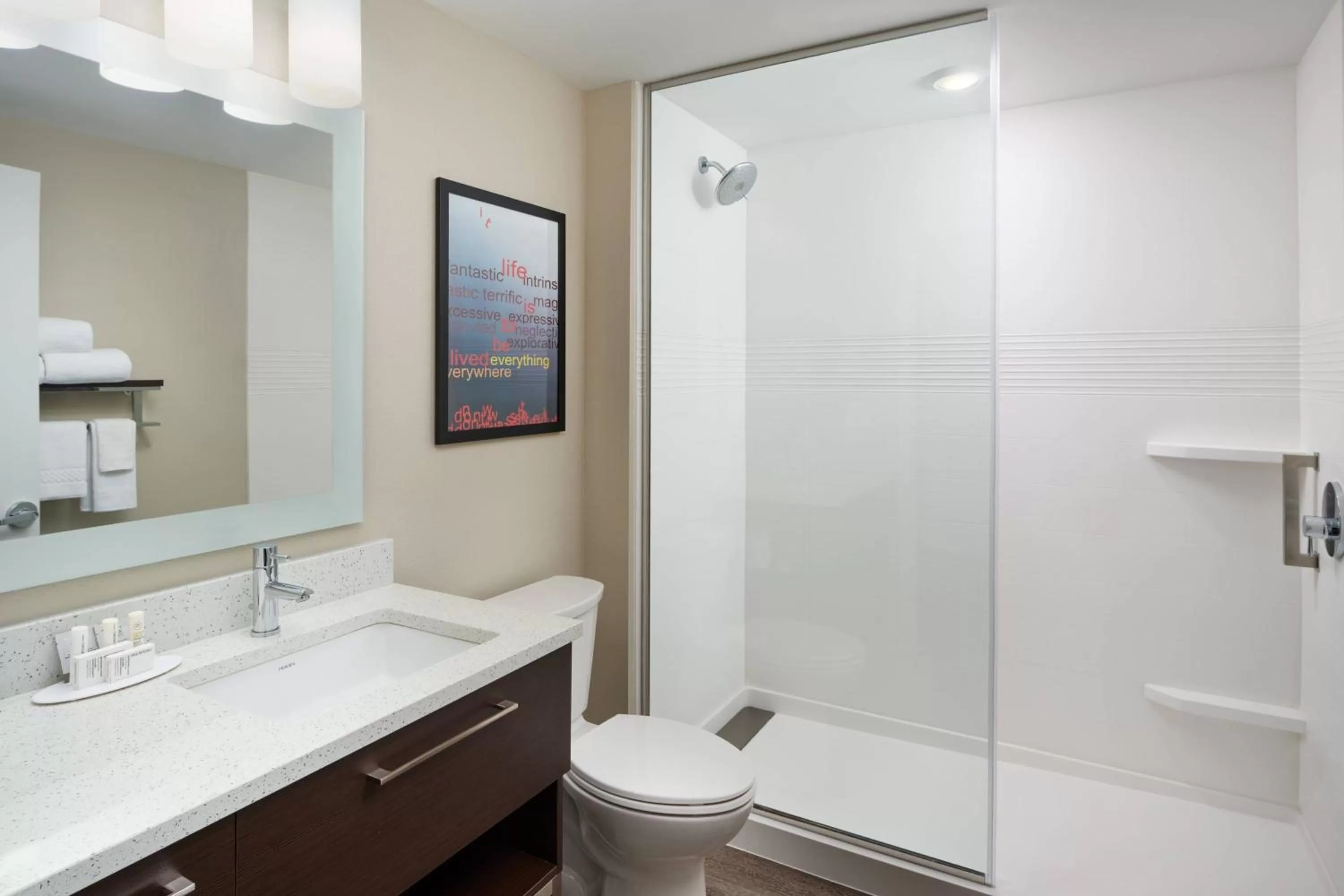 Bathroom in TownePlace Suites by Marriott Leesburg