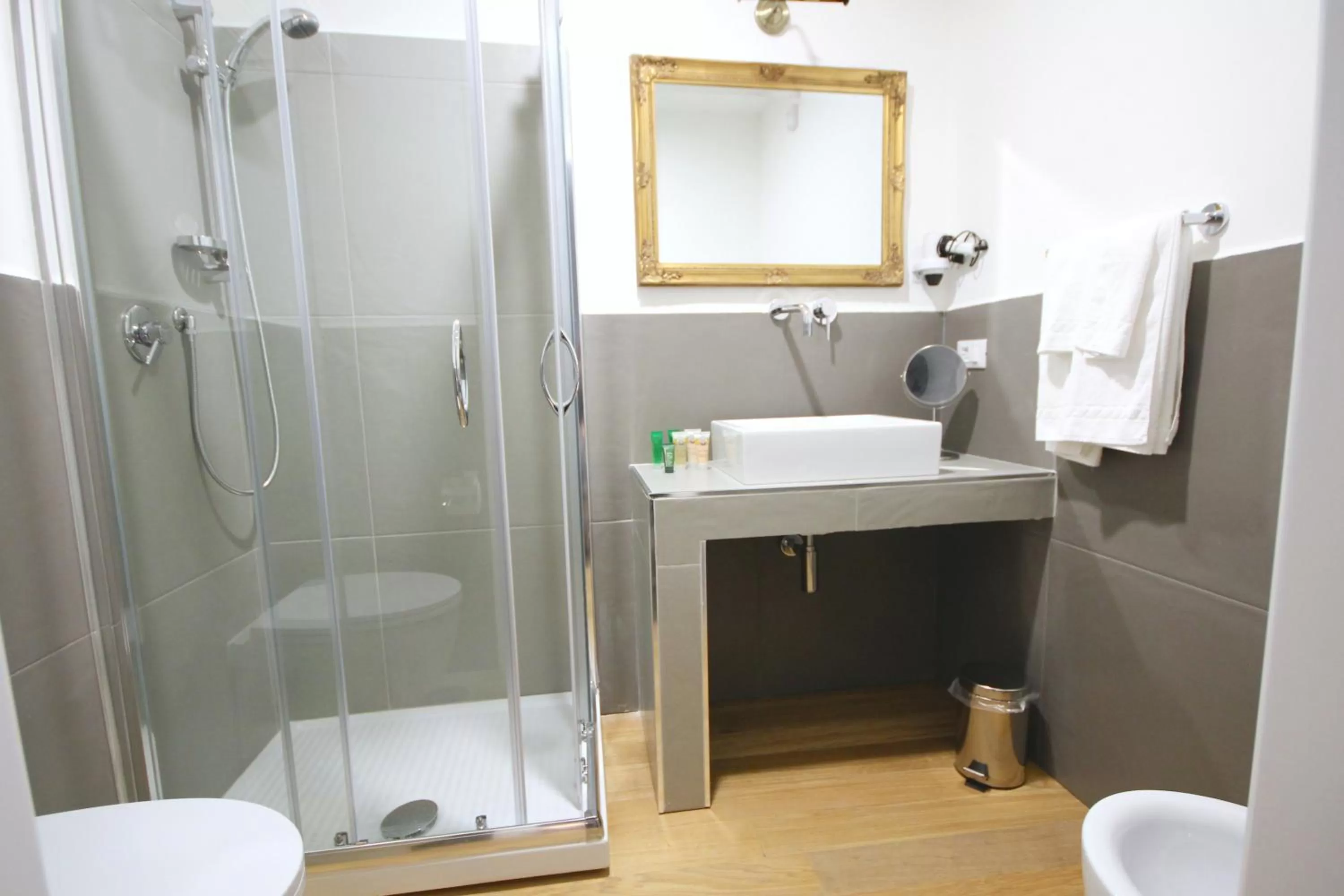 Shower in Room Inn Vatican