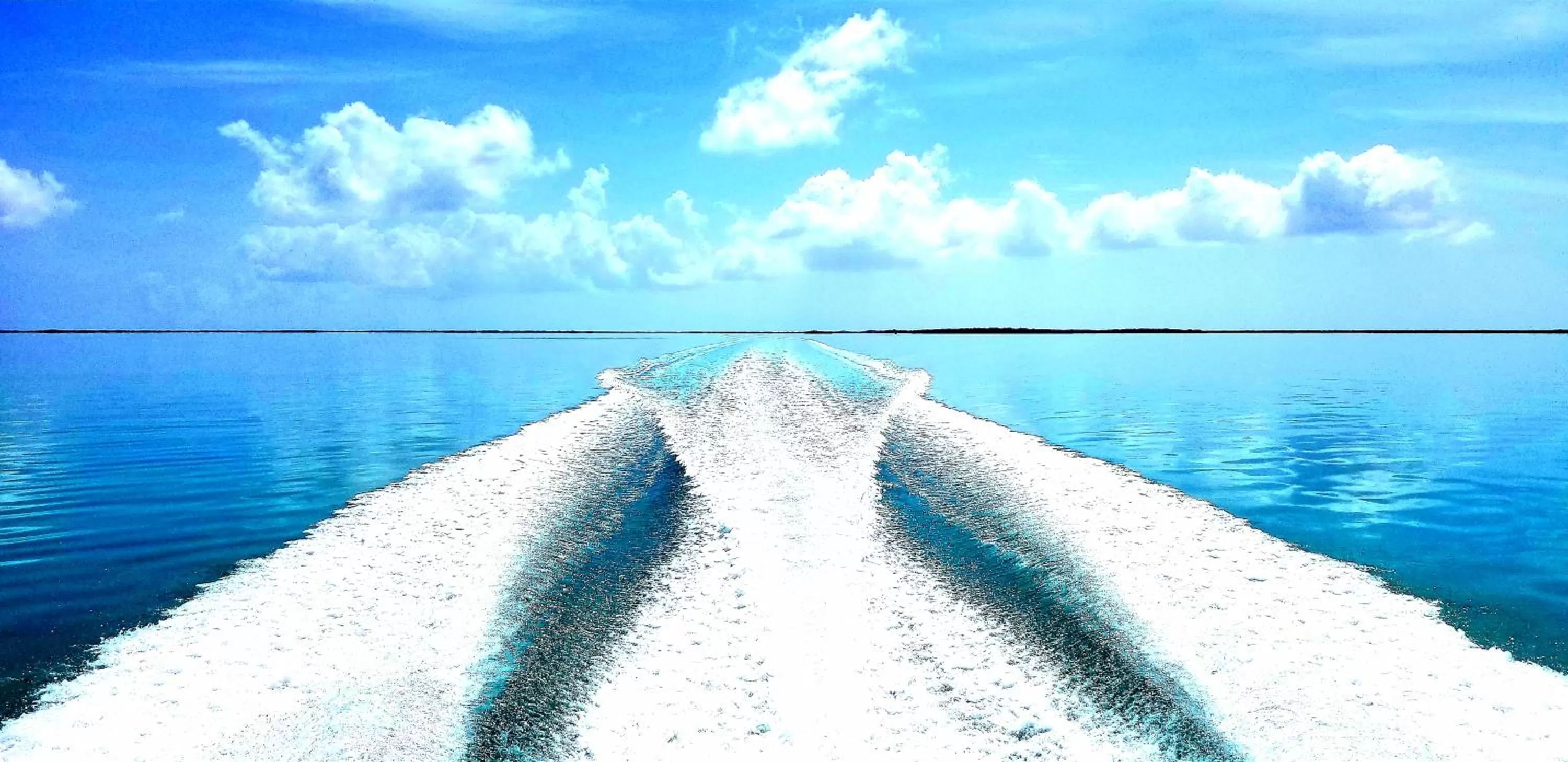 Sports in Bayside Inn Key Largo