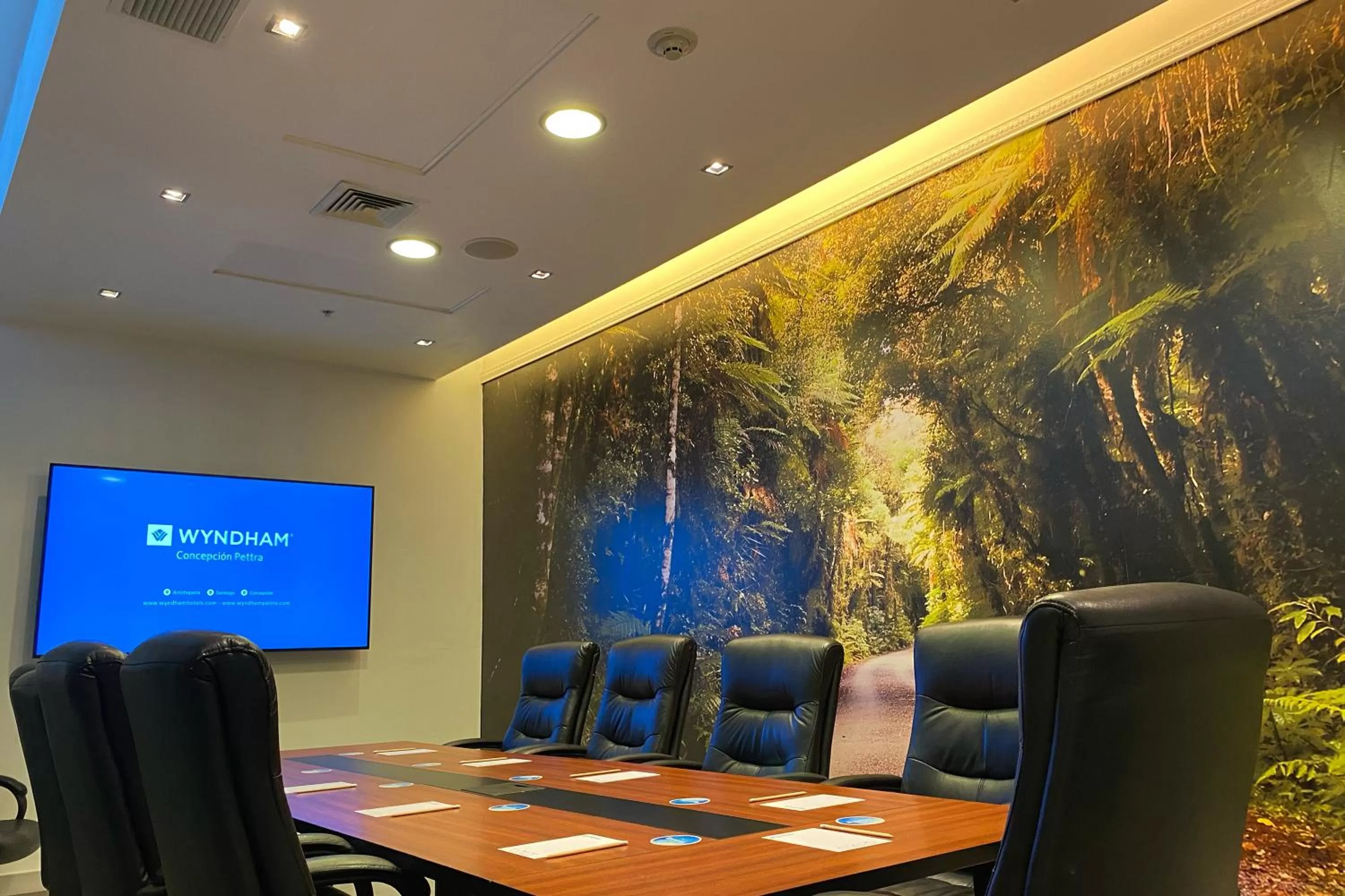 Meeting/conference room in Wyndham Concepcion Pettra