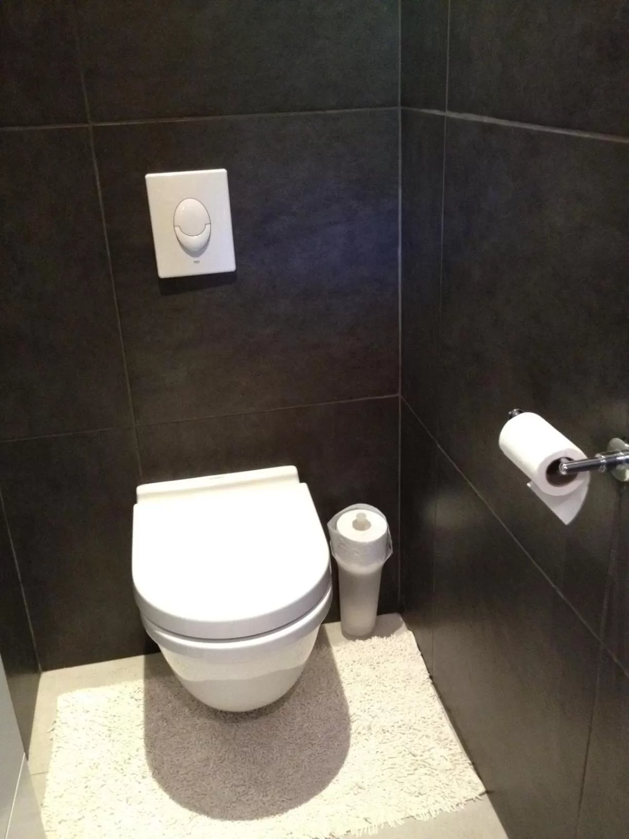 Toilet in Château de Valloubière