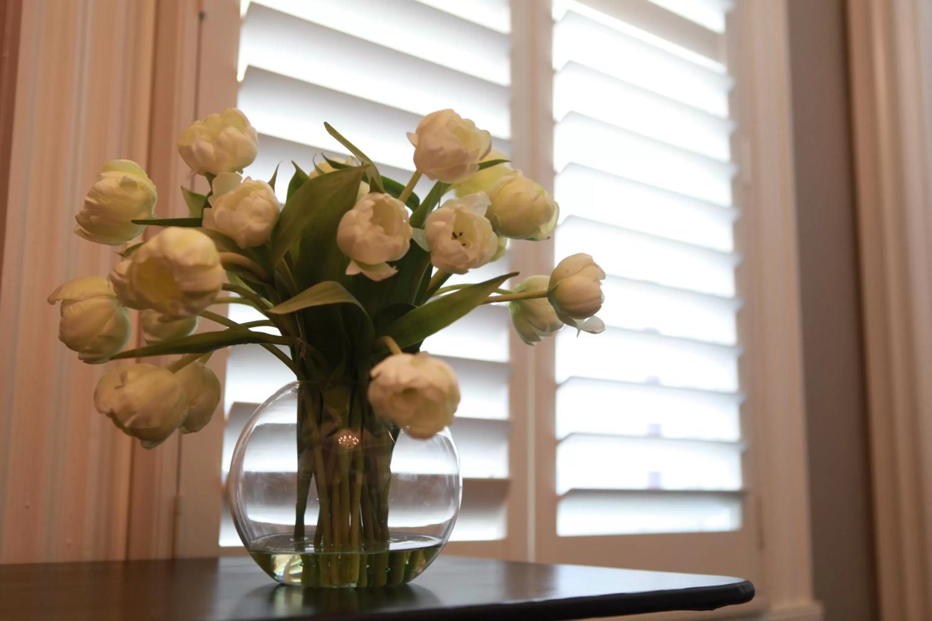 Decorative detail in Ballarat Premier Apartments