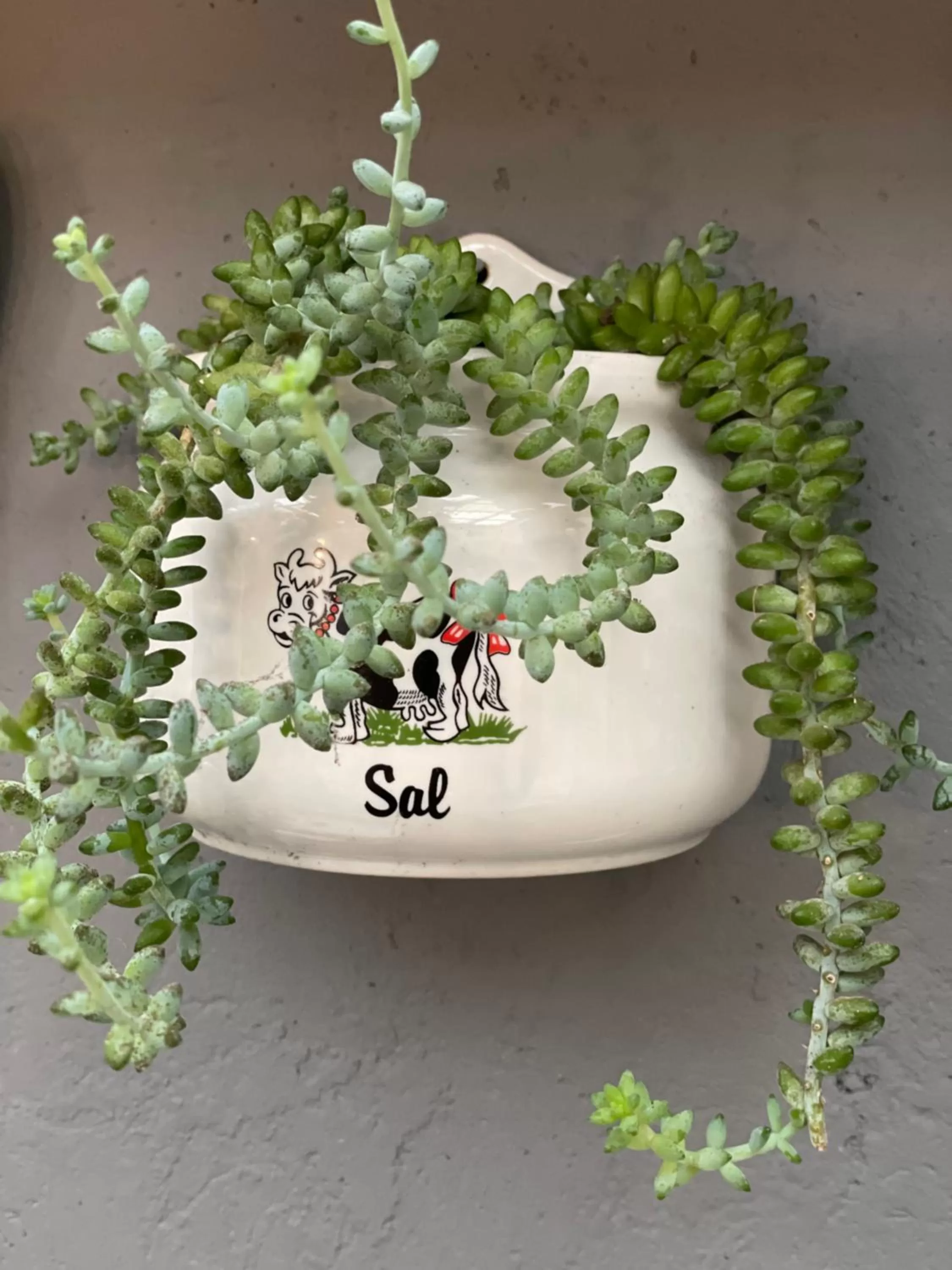 Decorative detail in Pousada Santarina