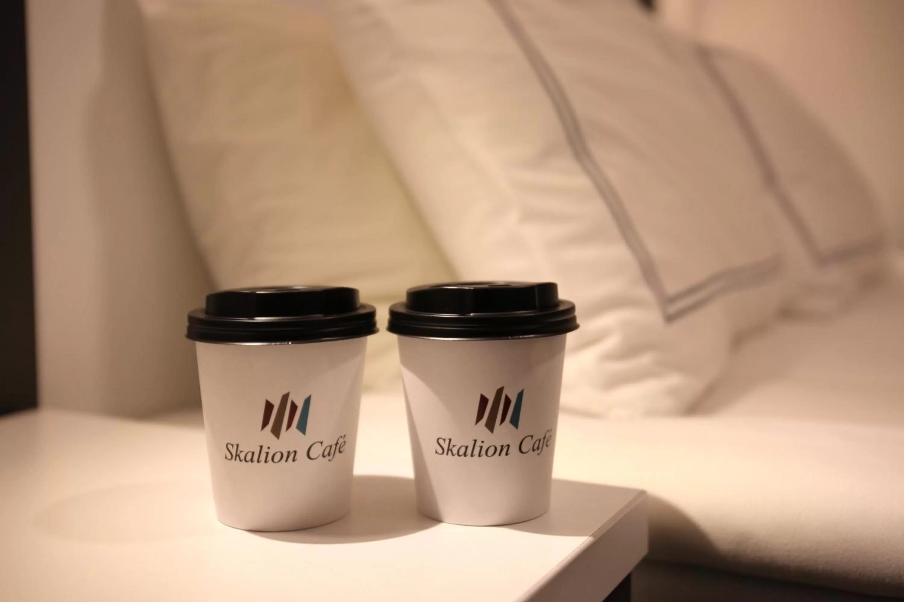 Logo/Certificate/Sign in Skalion Hotel