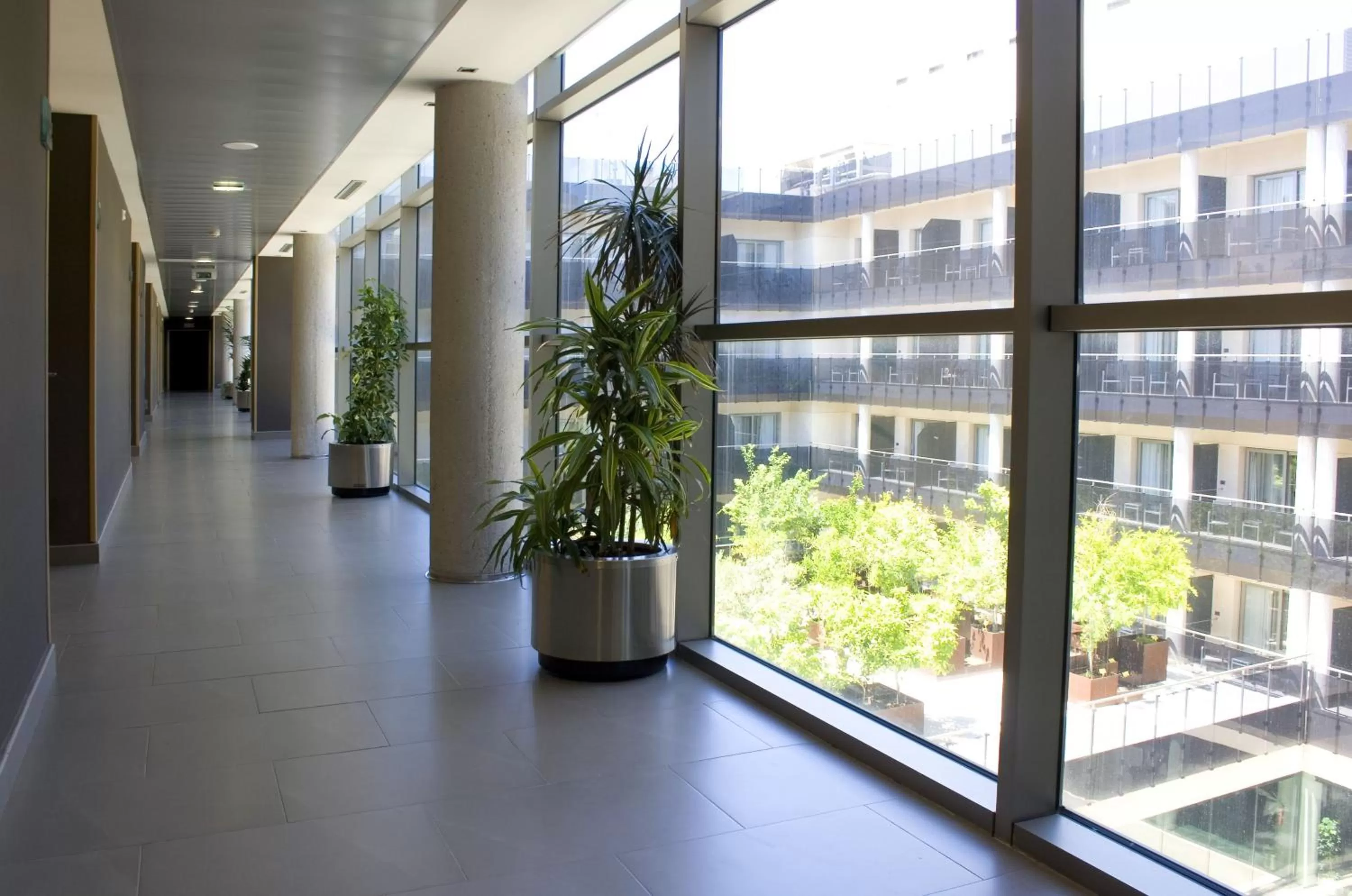 Garden in Thalasia Costa de Murcia