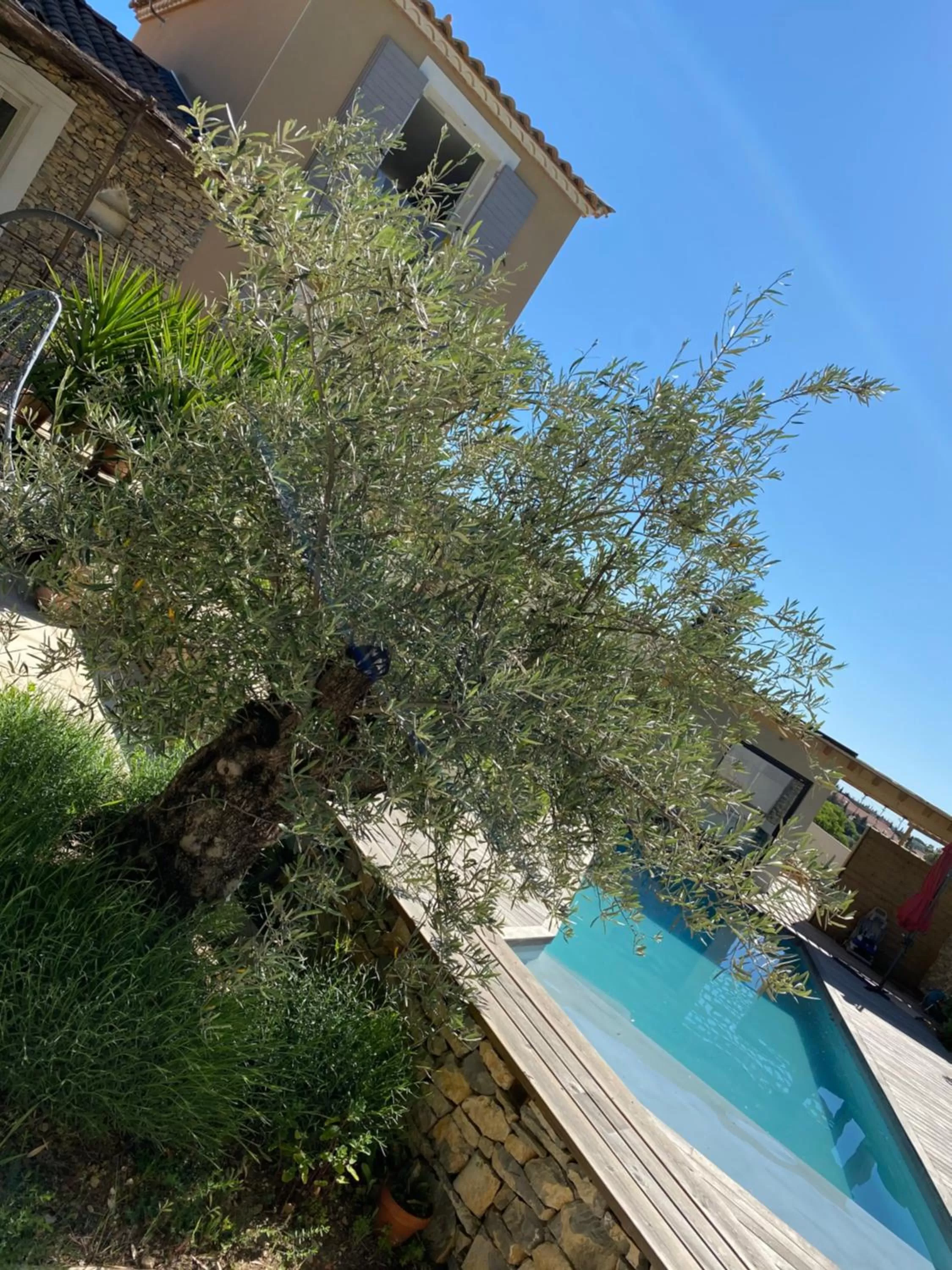 Swimming Pool in le pool house