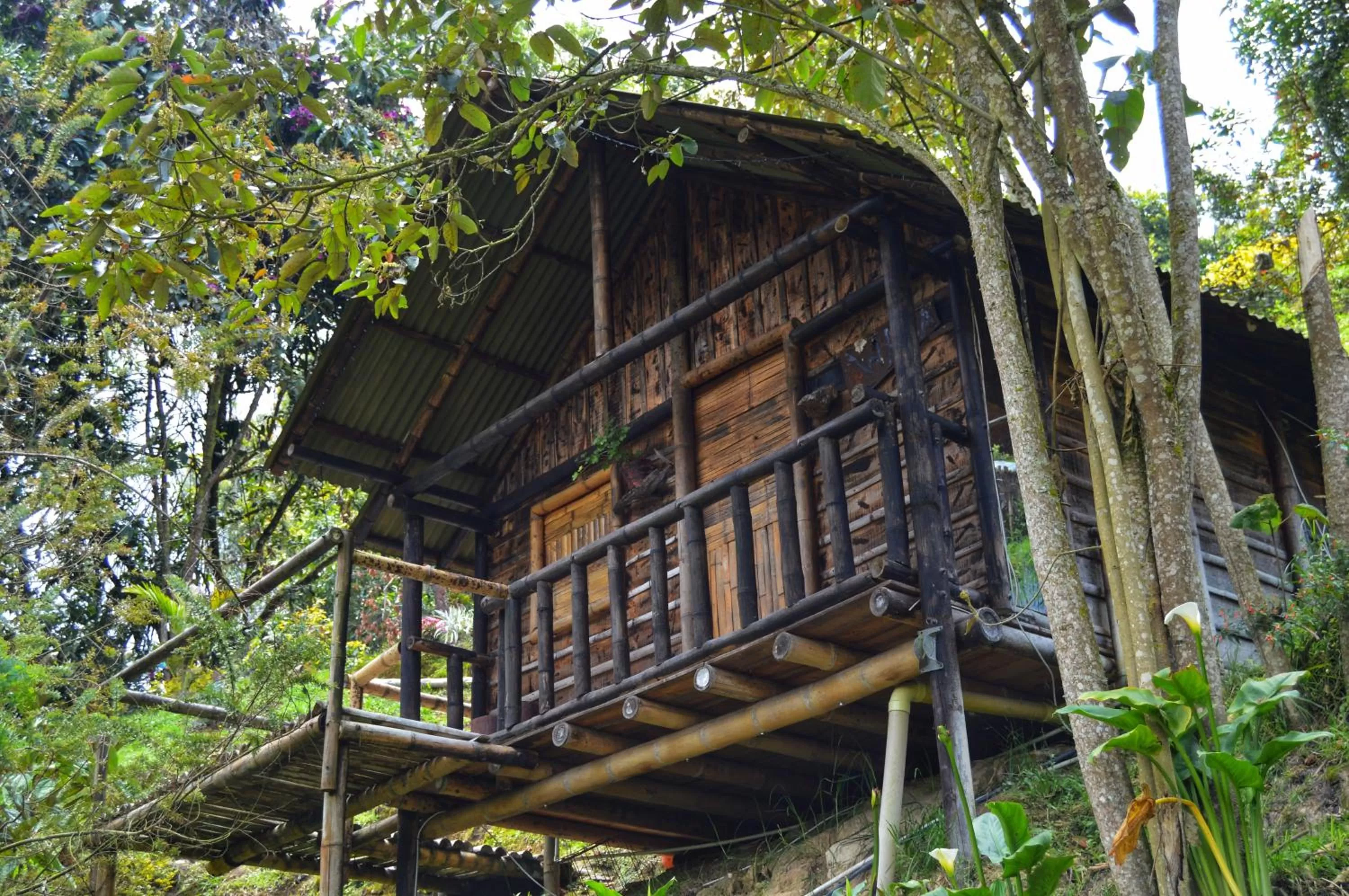 View (from property/room), Property Building in Cabañas Rústicas El Viejo Tambo By Rotamundos