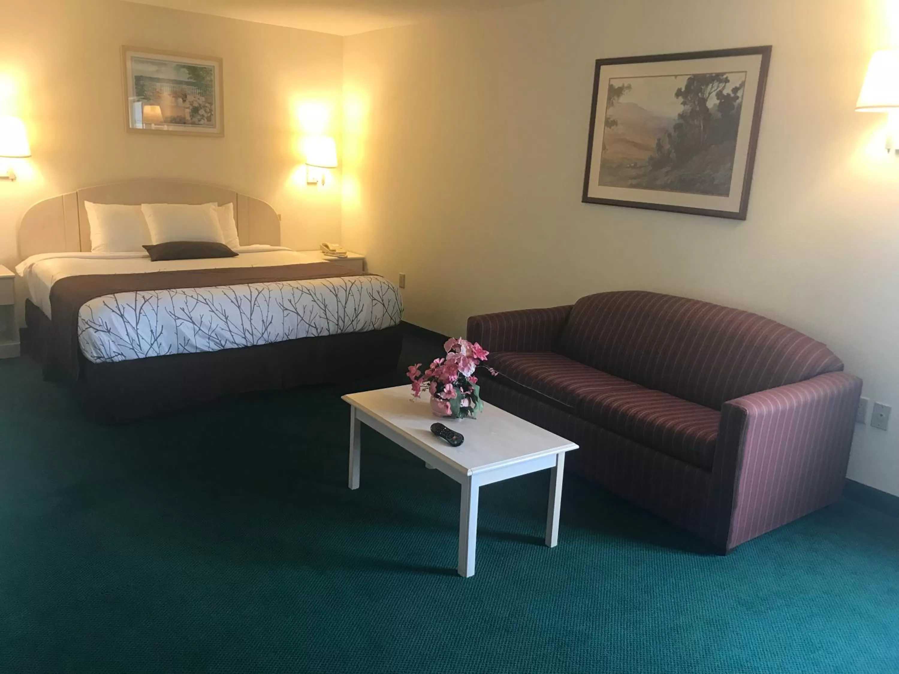 Americas Best Value Inn Pinckneyville