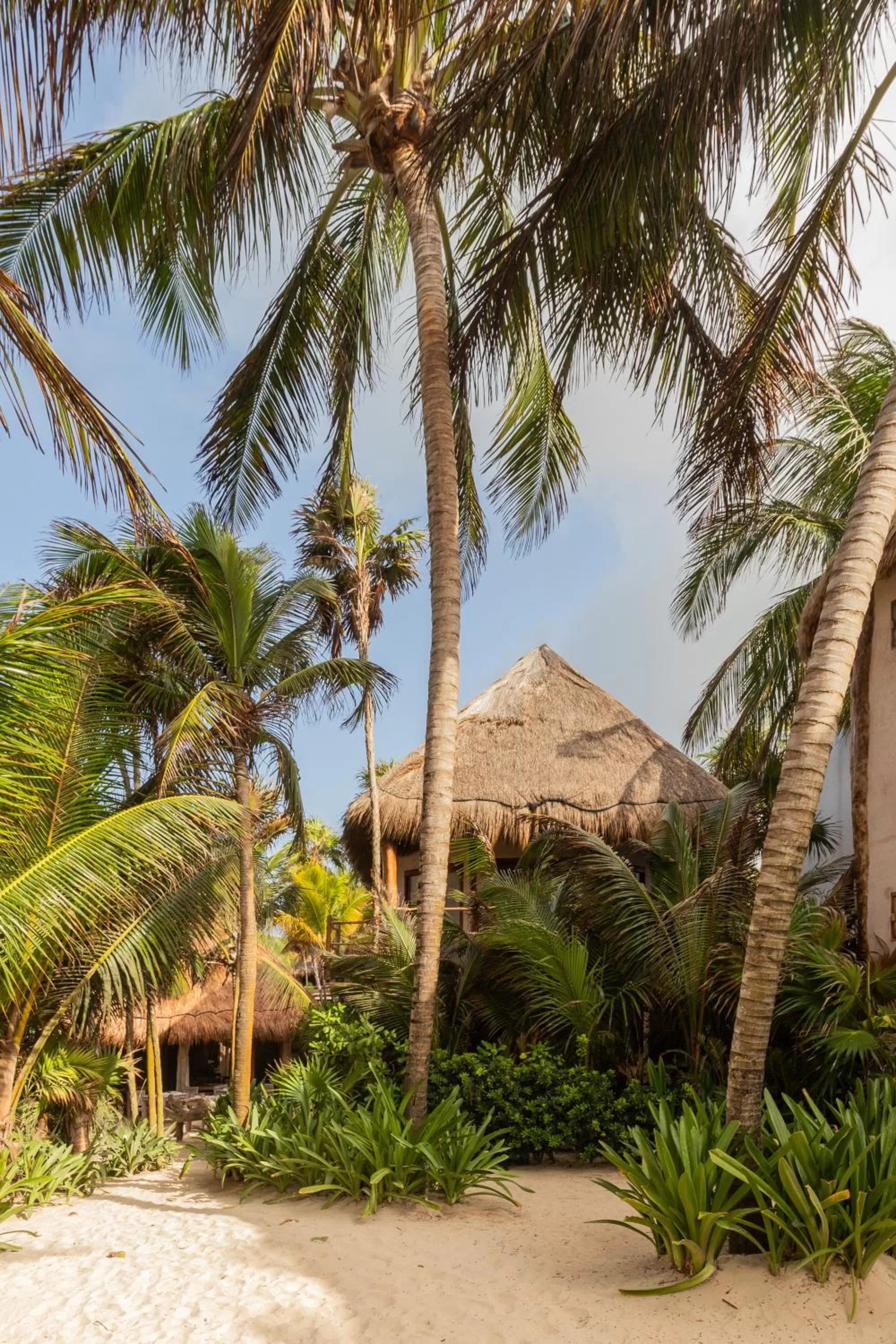 Property building in Encantada Tulum