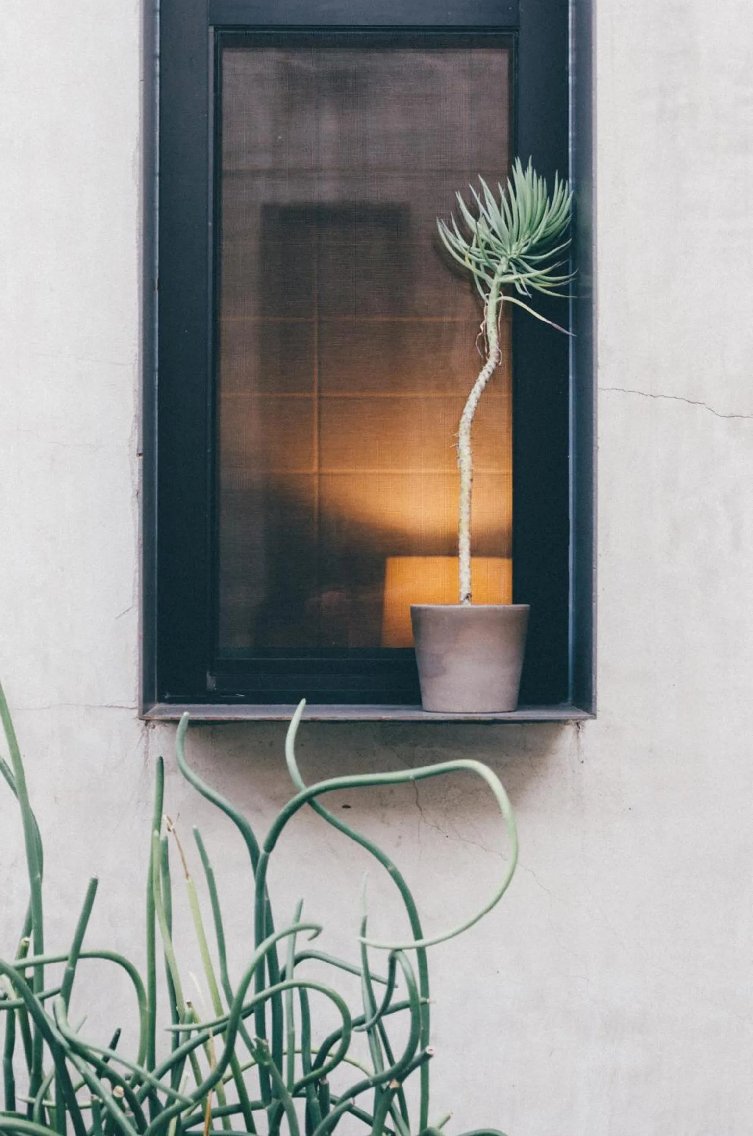 Decorative detail, TV/Entertainment Center in Heywood Hotel