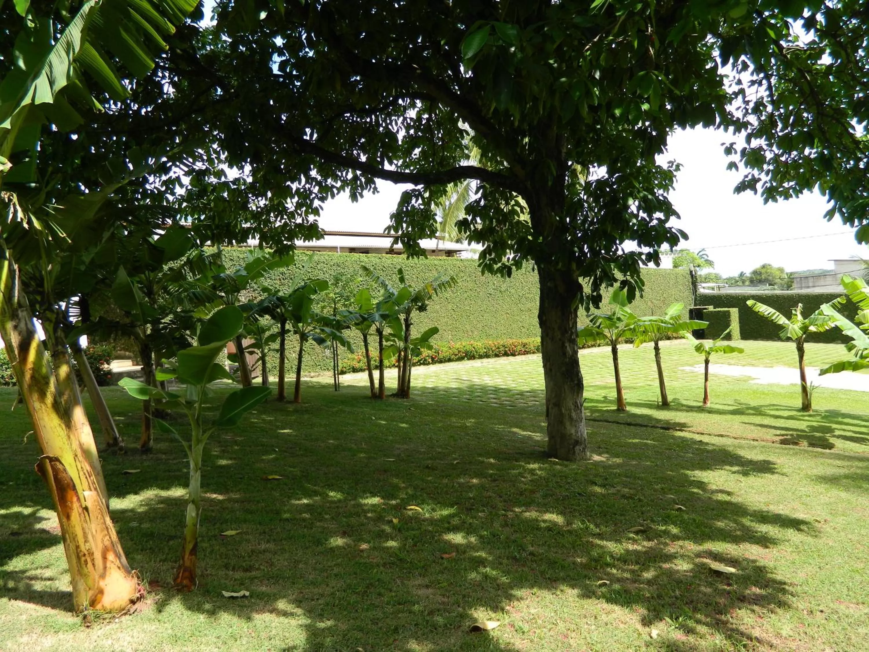 Day in Hotel Pousada Salvador Paradise