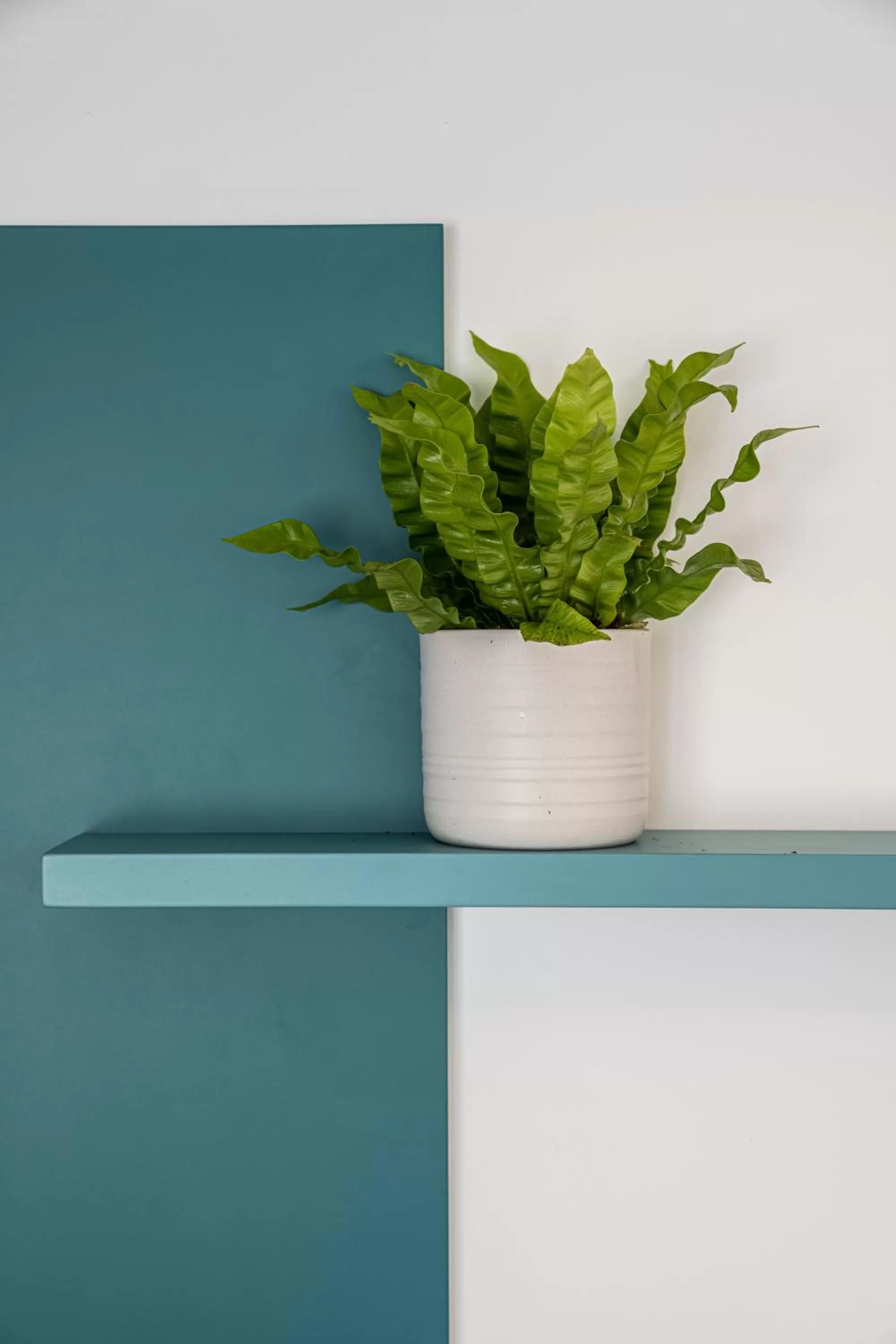 Decorative detail in Mate GEORGE - By HOMY