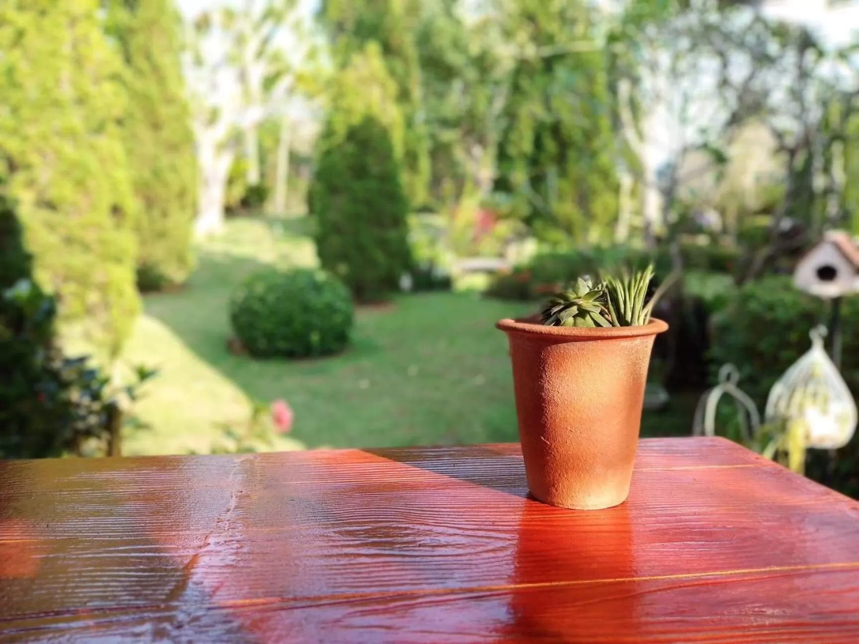 Baan JaoKorKluay บ้านเจ้ากอกล้วย