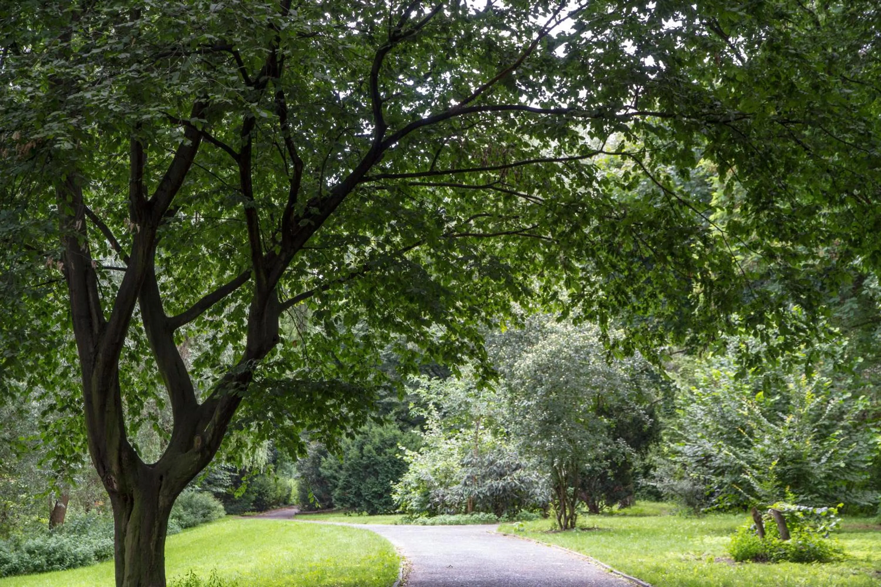 Hiking in BIG MAMA Berlin