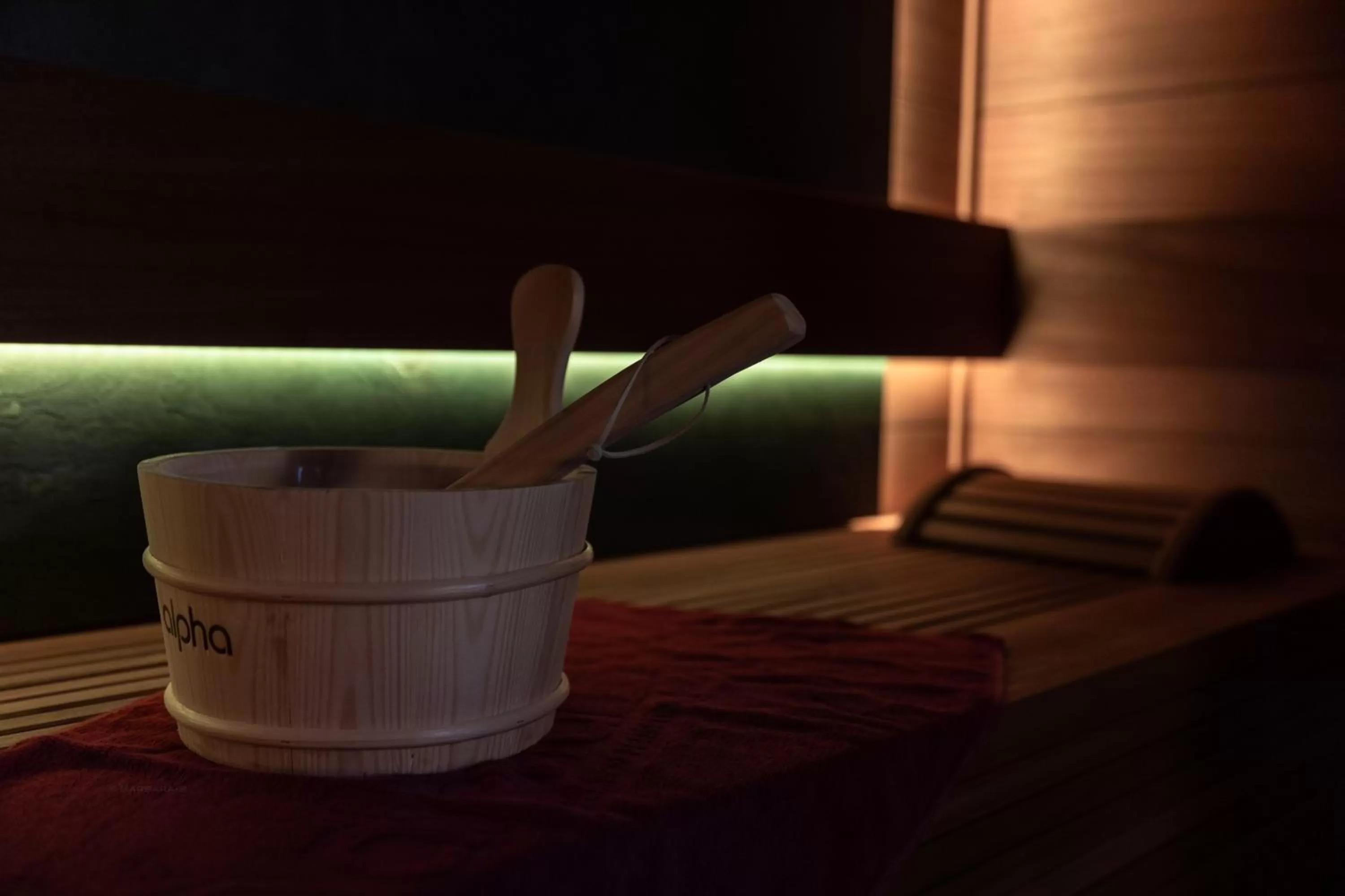 Spa and wellness centre/facilities in Petit-Roannay