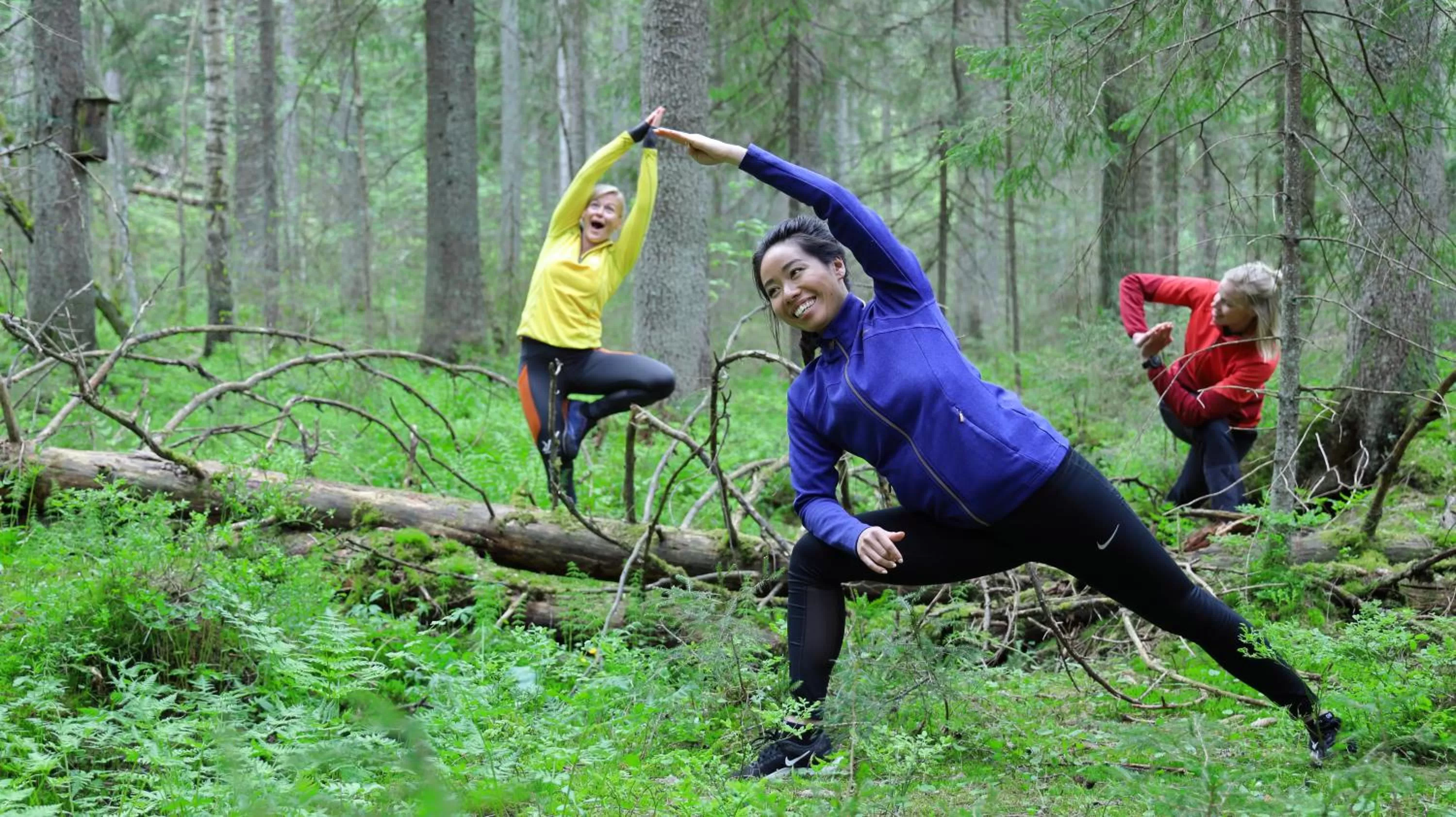 Activities in Haltia Lake Lodge nature boutique hotel & glamping