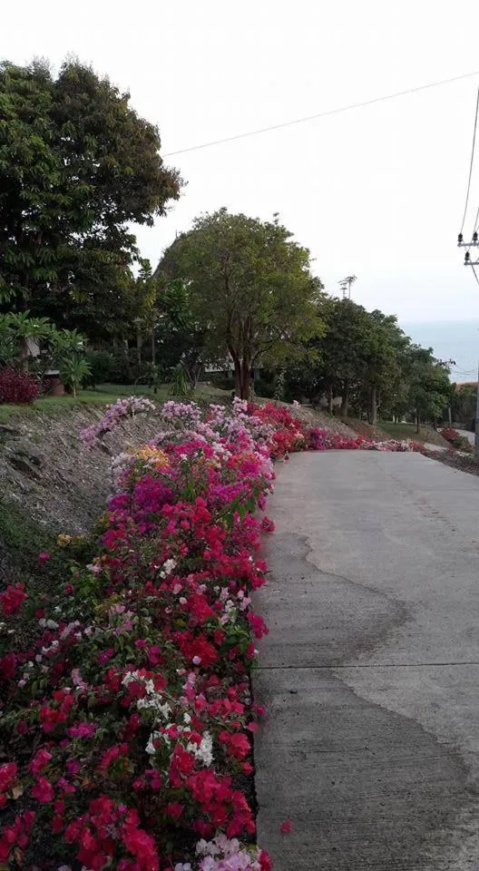 Garden view in Baan KanTiang See Villas - SHA Extra Plus