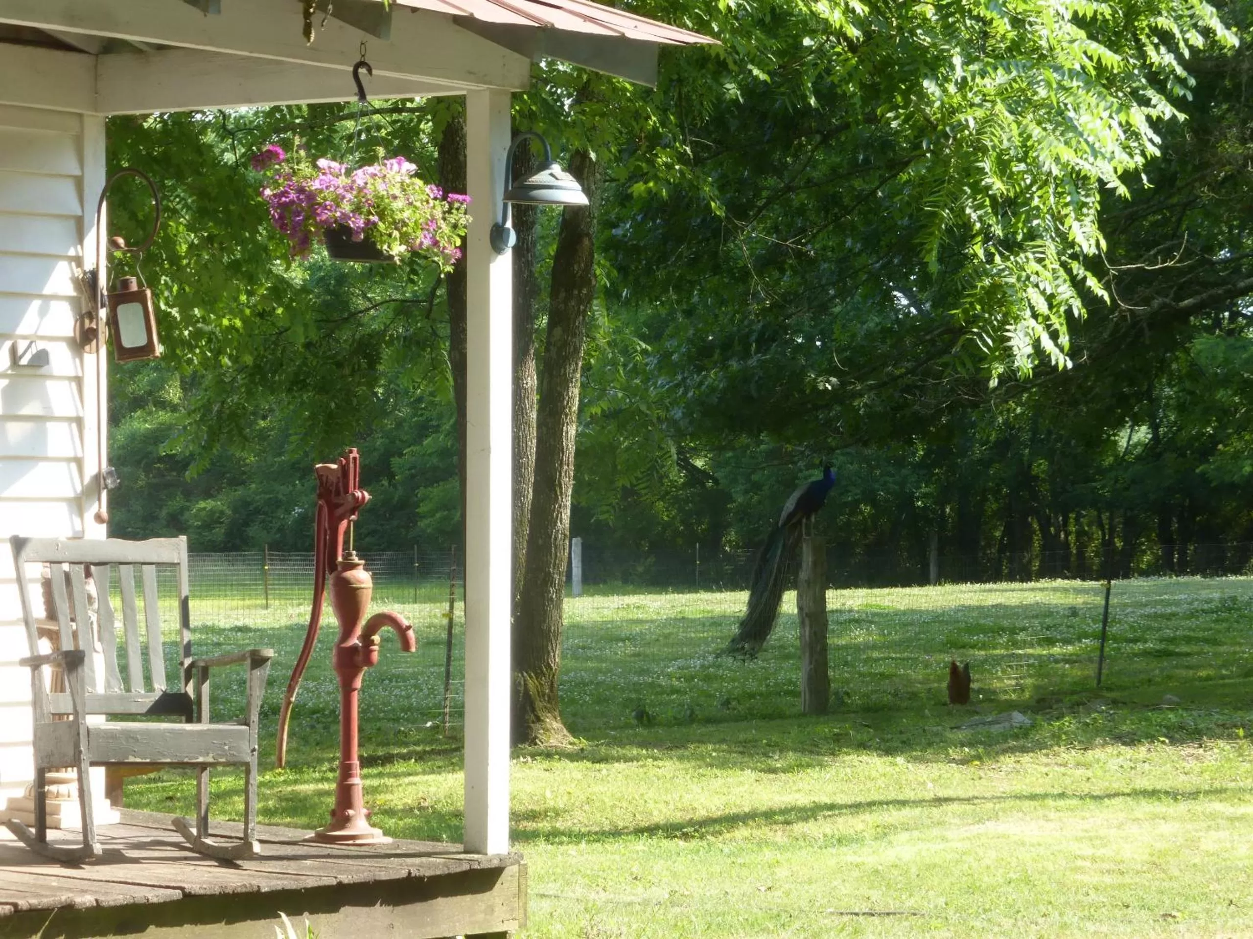 Patio in Mulberry Lavender Farm and B&B