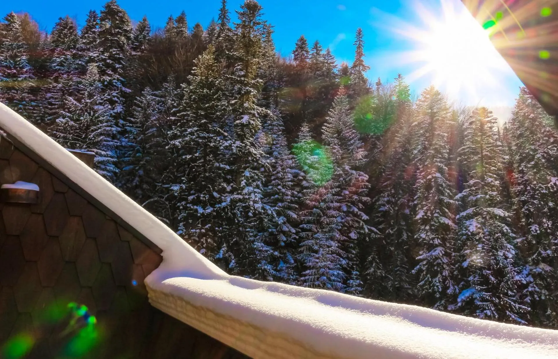 Winter in Lux Garden Hotel