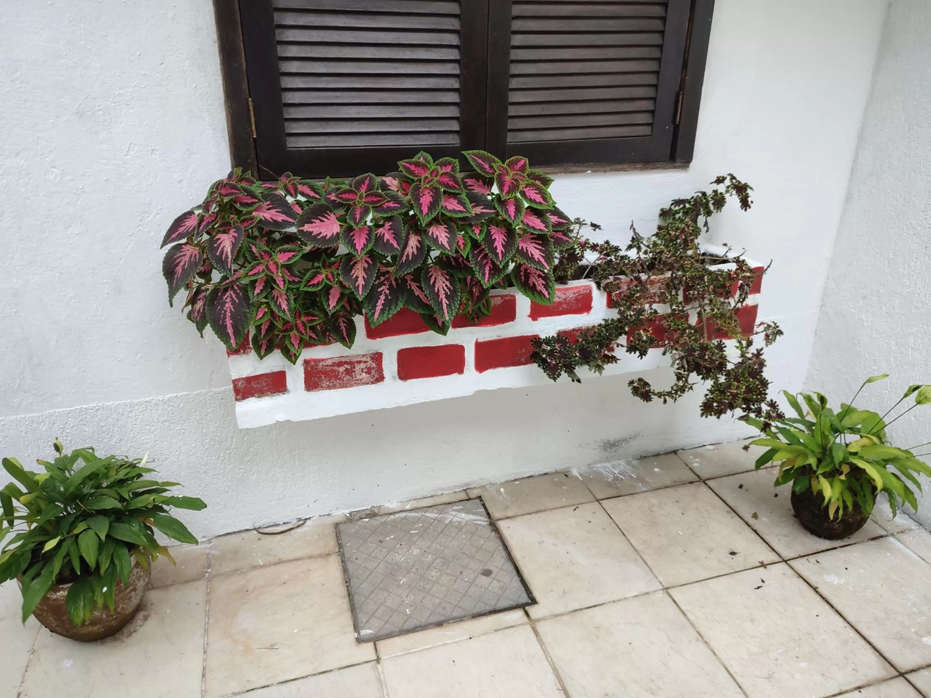 Garden view in Pousada L'étage