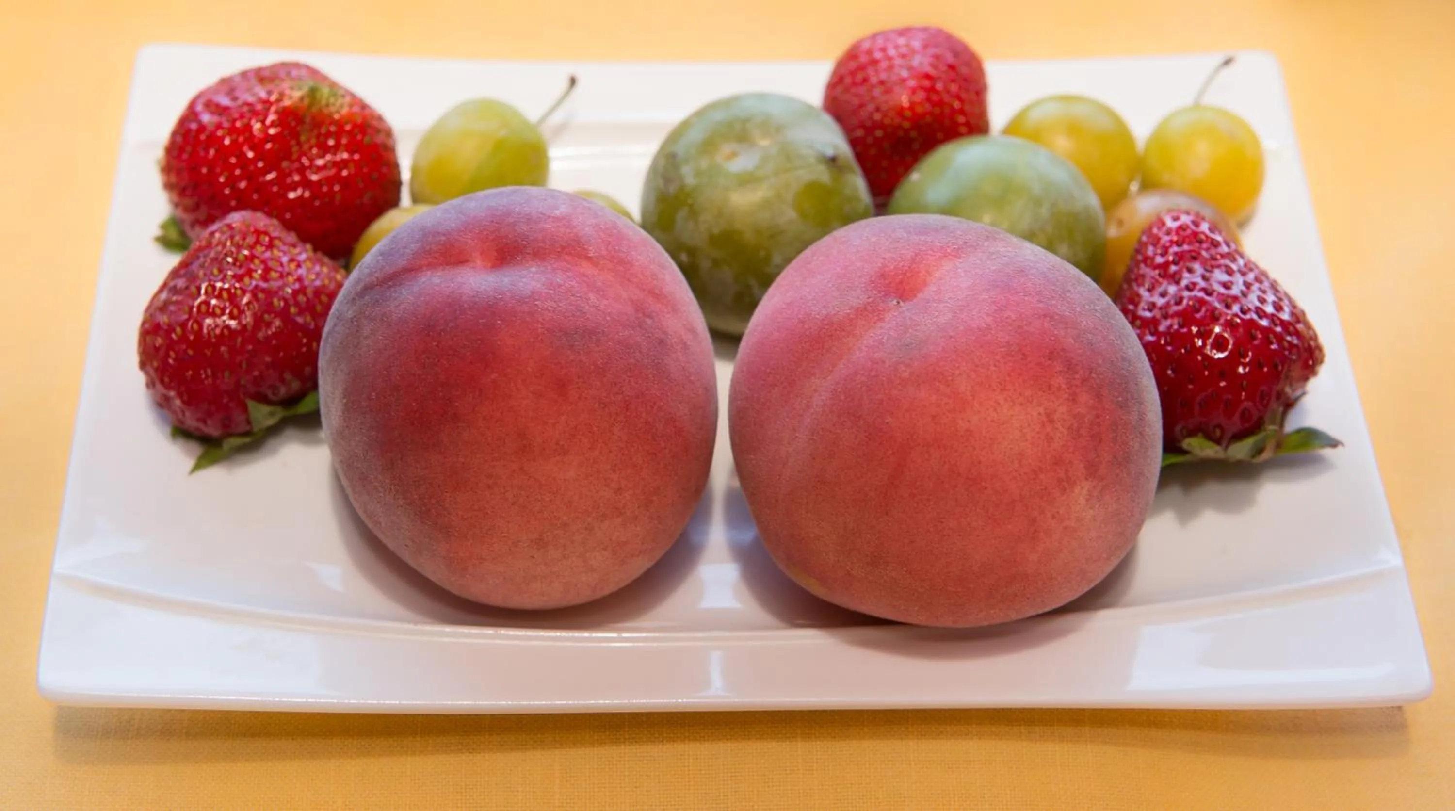 Le Clos Champel Hôtel Restaurant Logis