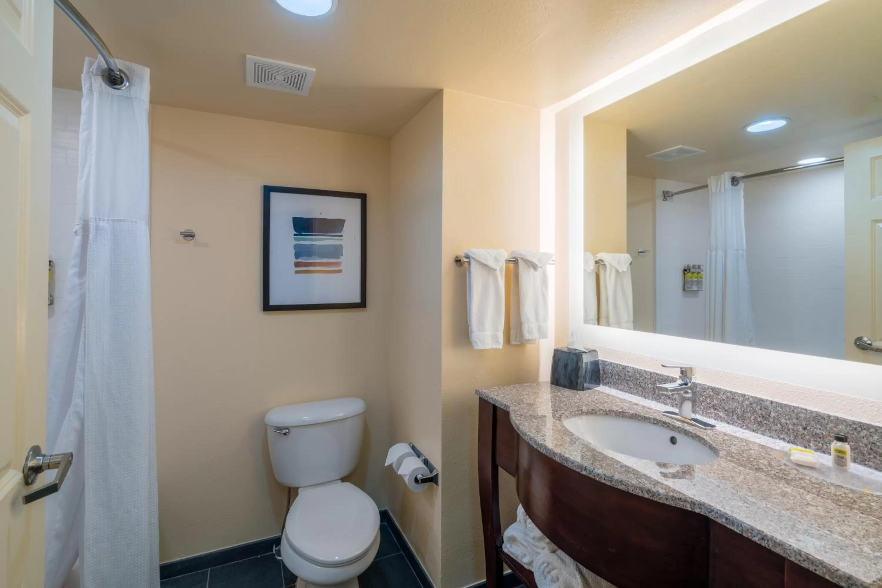 Bathroom in Staybridge Suites Memphis-Poplar Ave East by IHG