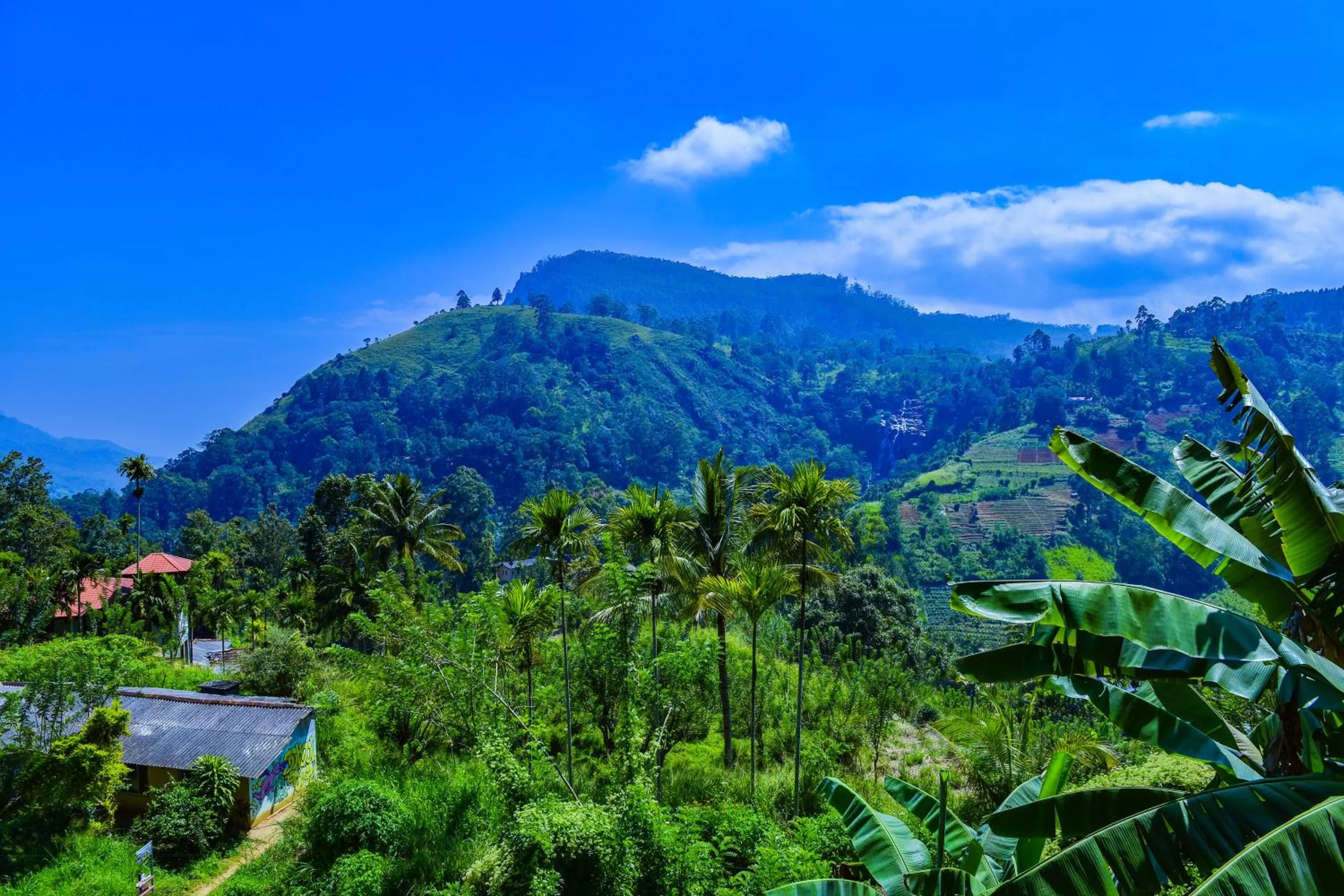 Natural landscape in Dimuthu Home Stay