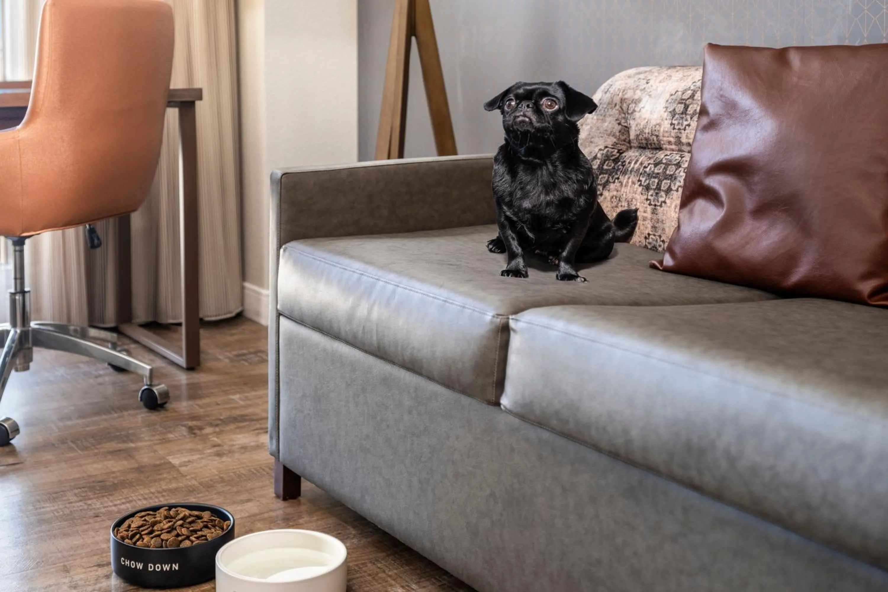 Other in Residence Inn Austin Downtown / Convention Center