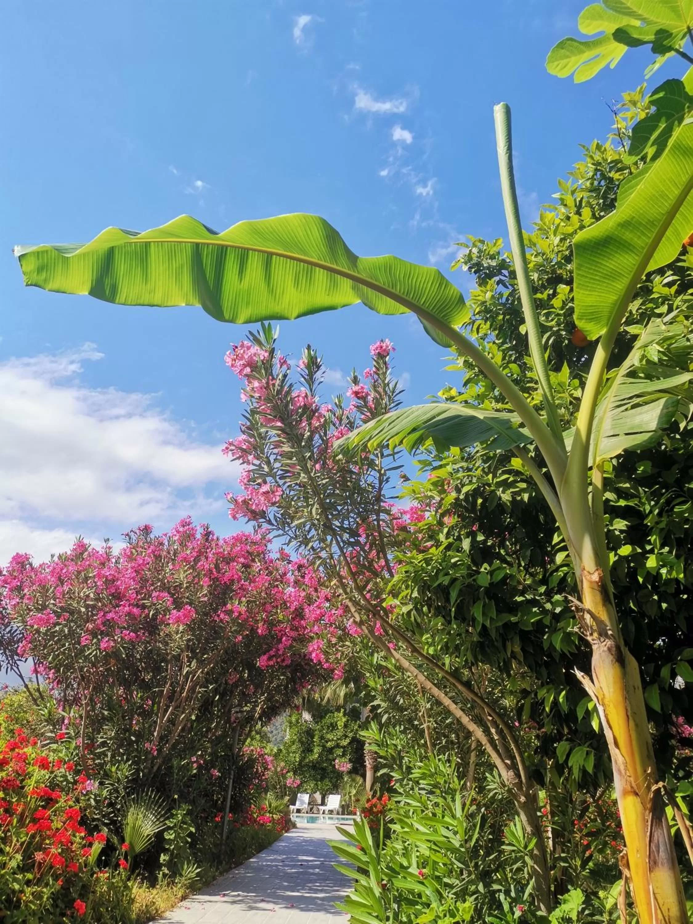 Facade/entrance in Kiriş Garden Hotel