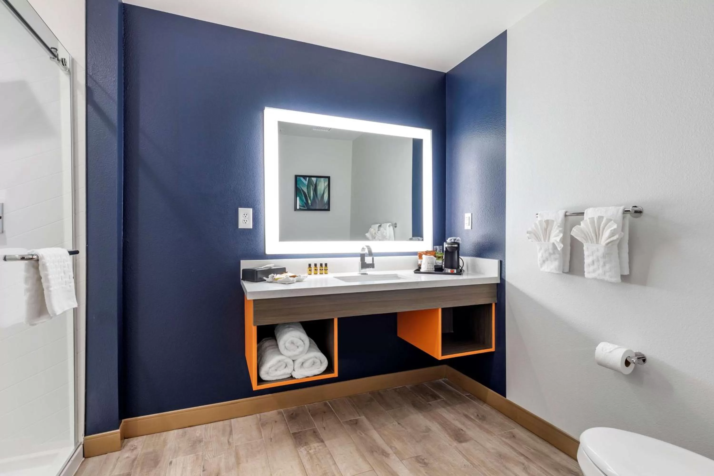 Bathroom in Best Western Plus Amarillo East Hotel