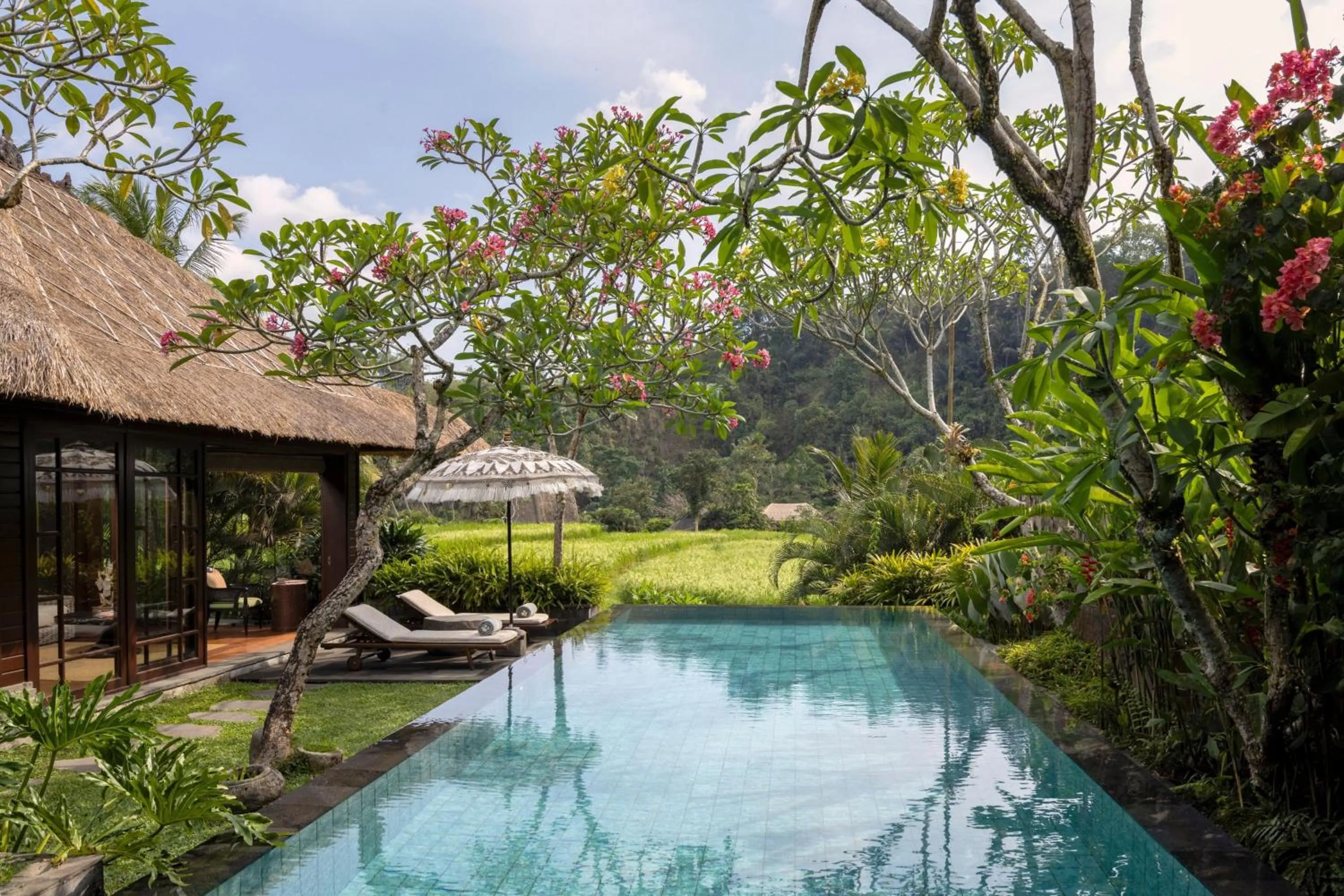 Swimming pool in Mandapa, a Ritz-Carlton Reserve