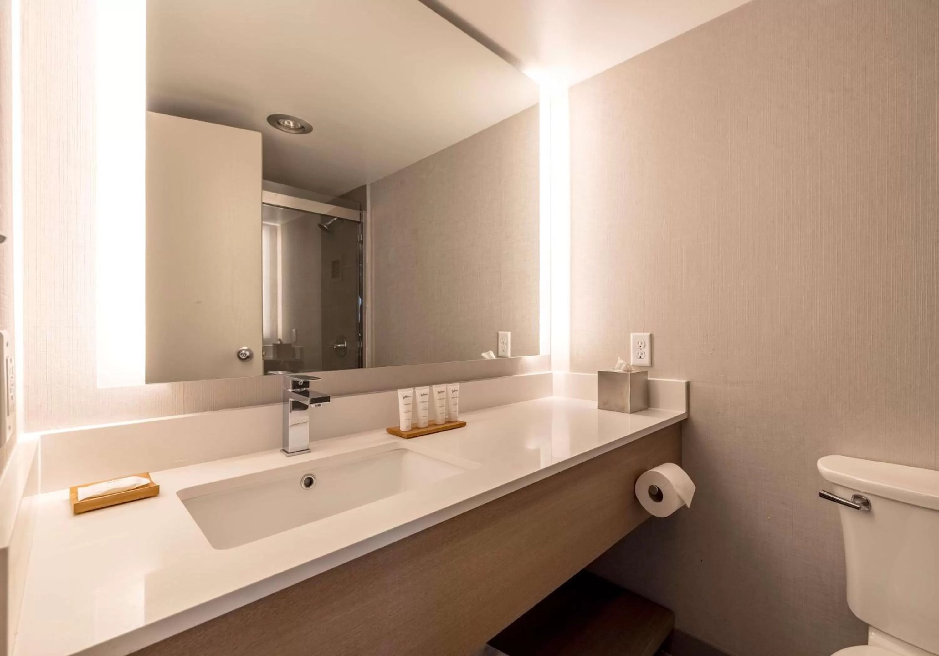 Toilet in DoubleTree by Hilton Davenport