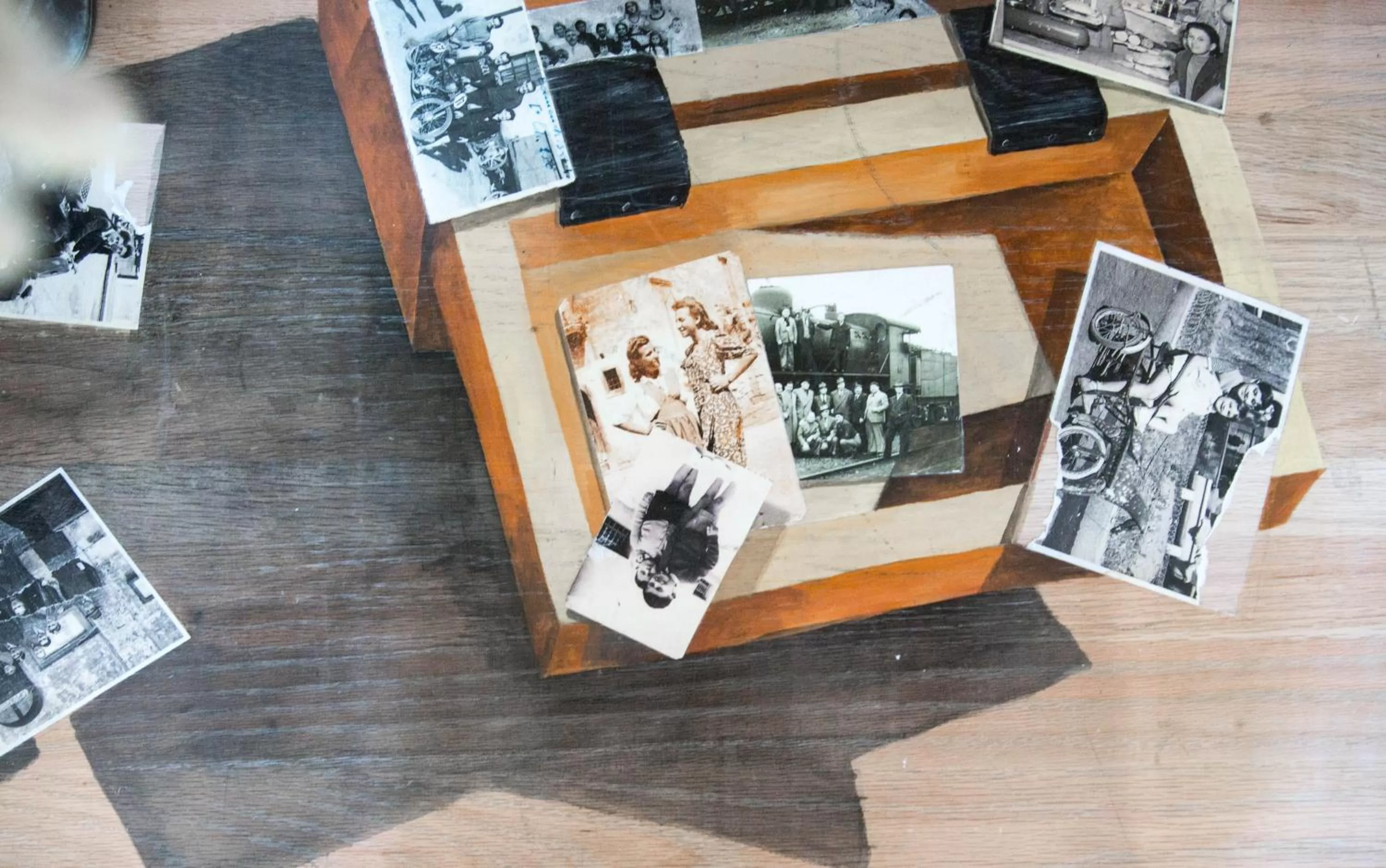 Decorative detail in Amymone and Adiandi