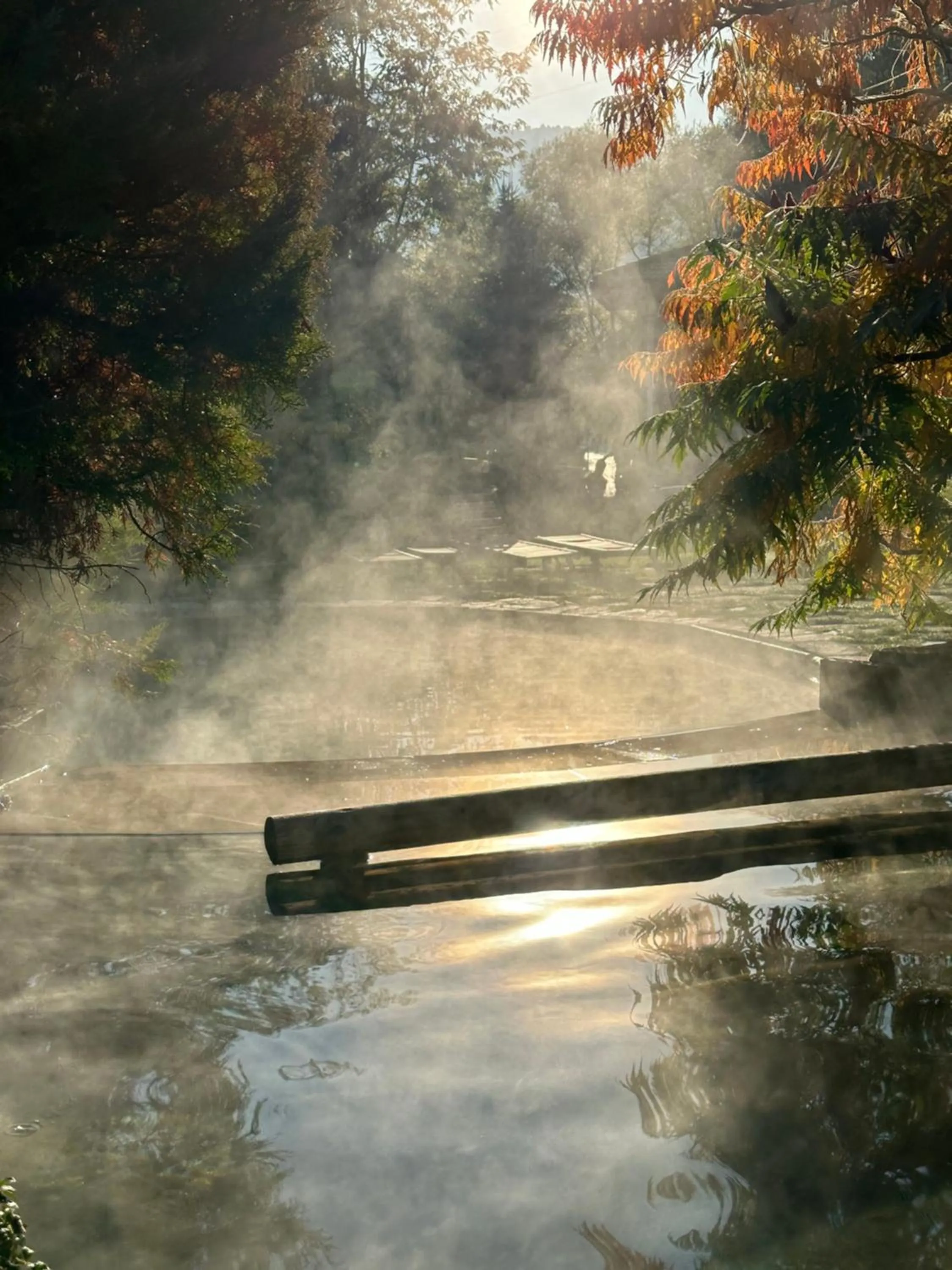 Natural landscape in SPA Hotel Ismena