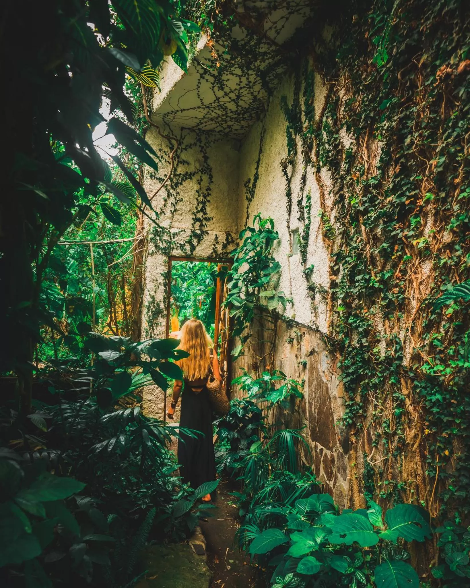 Garden in Lush Atitlán