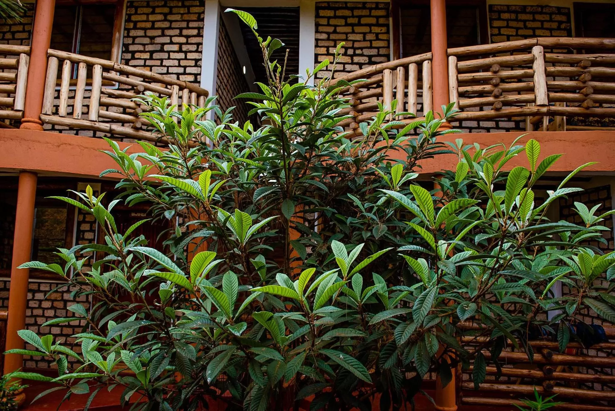 Day in Elite Backpackers Services