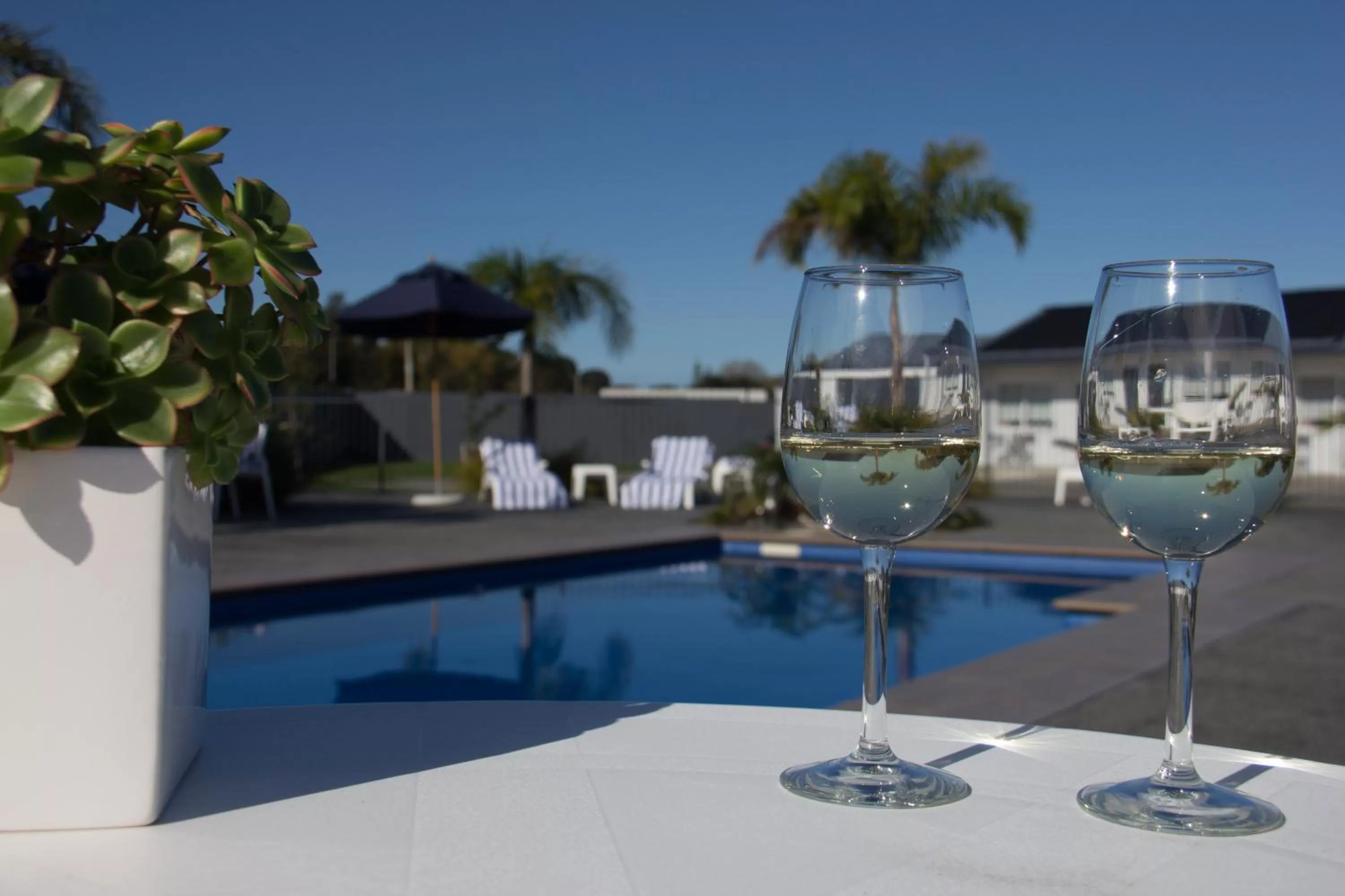 Food and drinks in Motel Oasis