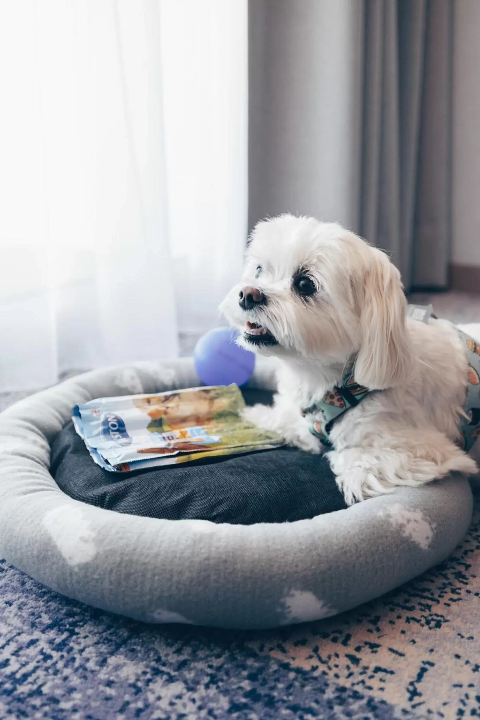 Superior Double Room in 5* standard in Hotel Wellness Medical Spa Unitral Superior Double Room in 5* standard in Hotel Wellness Medical Spa Unitral