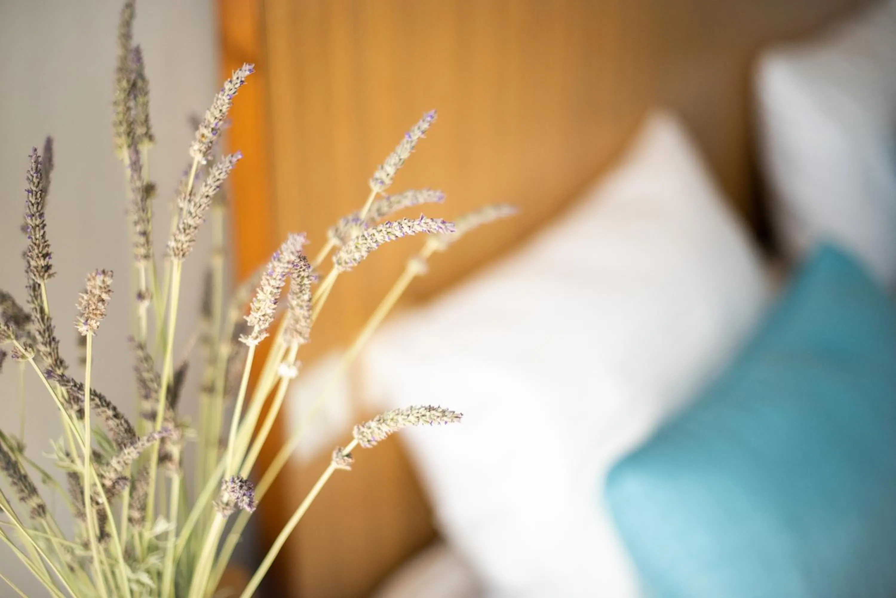 Decorative detail, Bed in Myrto Hotel