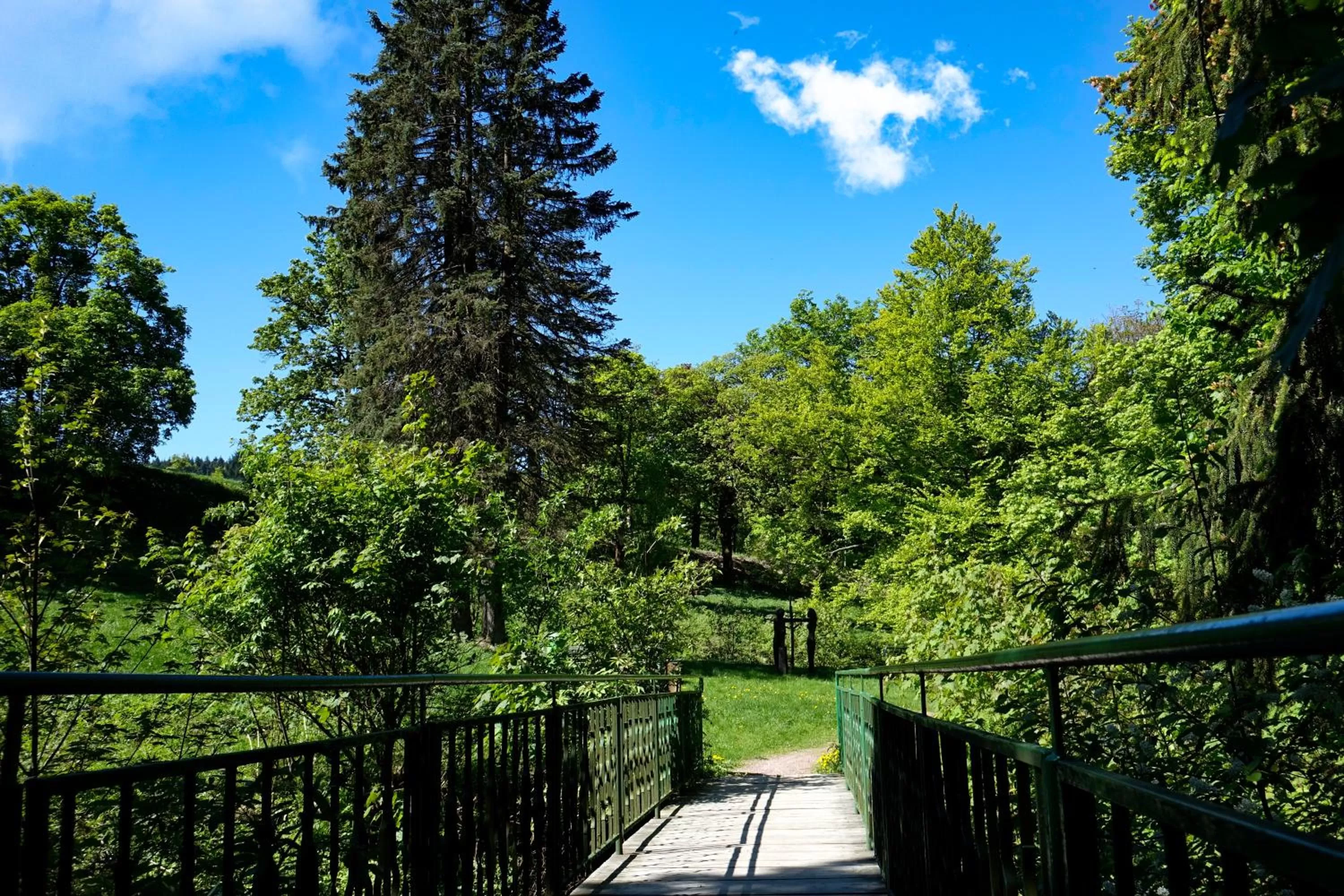Natural landscape in Pension Haus Saarland