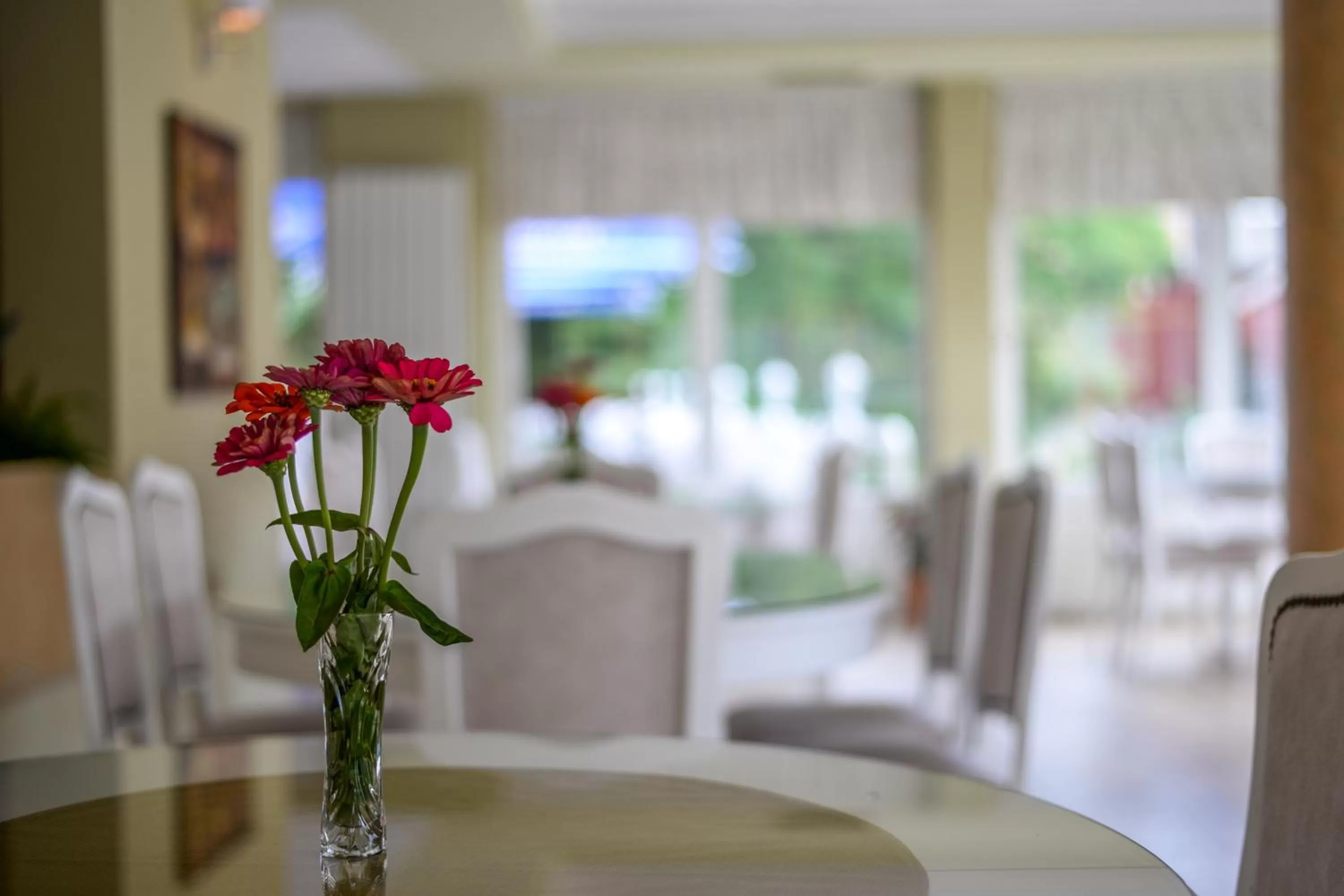 Lounge or bar in Hotel Fontana