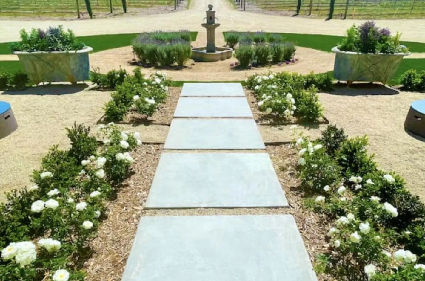 Natural landscape in Domaine Chardonnay